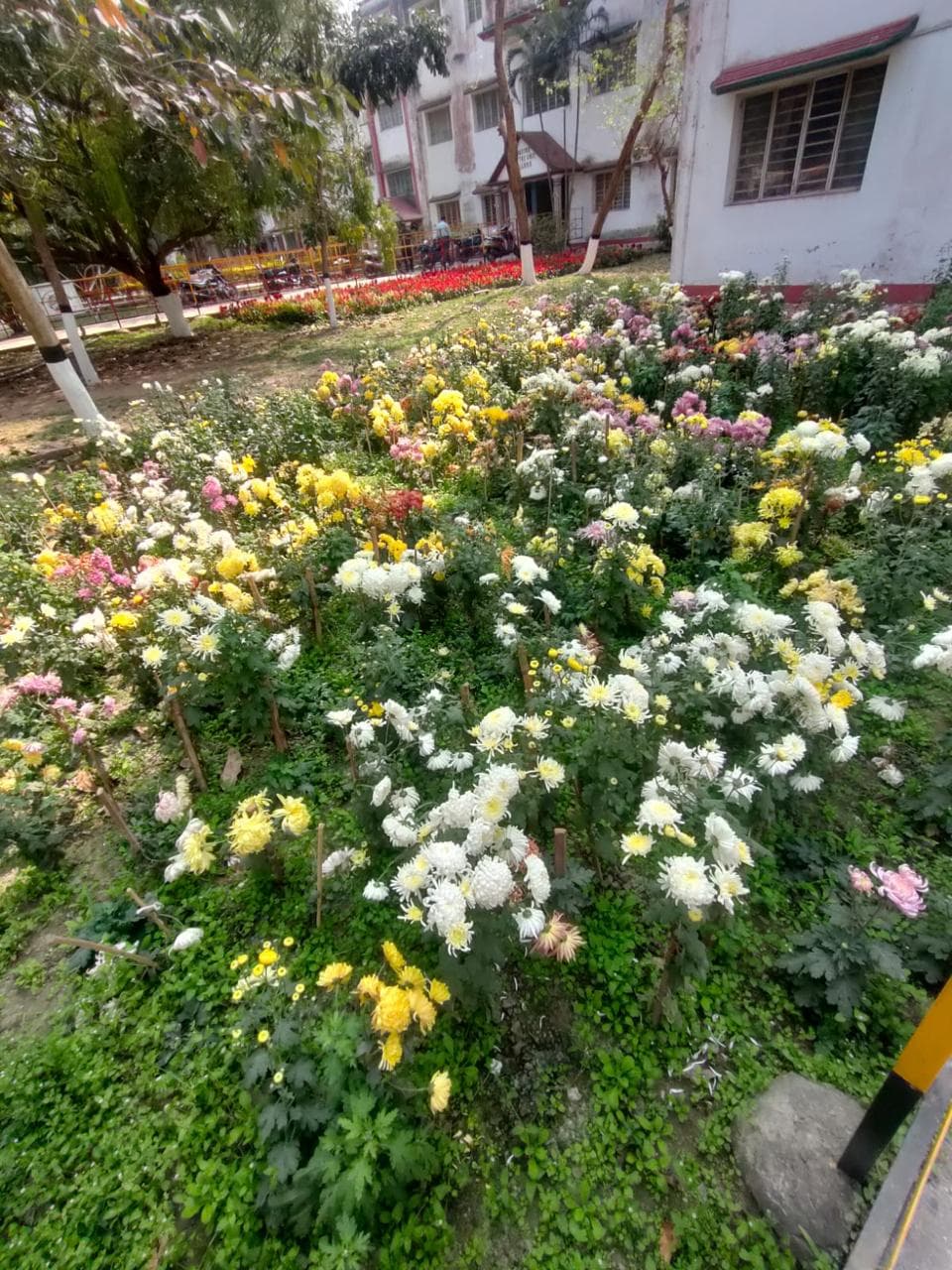 Kingston Law College Kolkata Campus photo (16) by Aritra Das