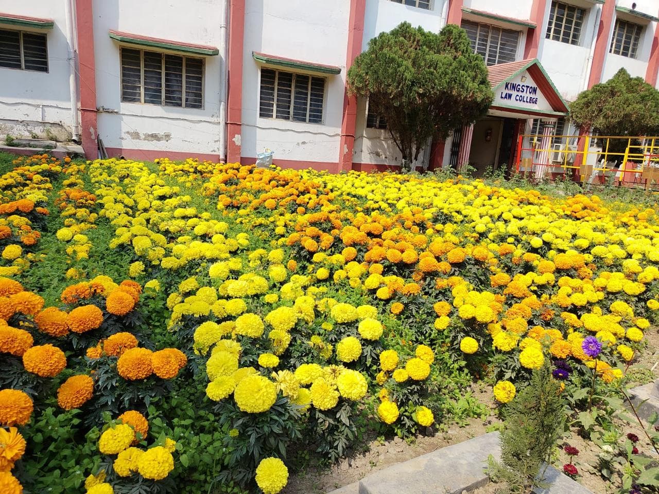 Kingston Law College Kolkata Campus photo (13) by Aritra Das