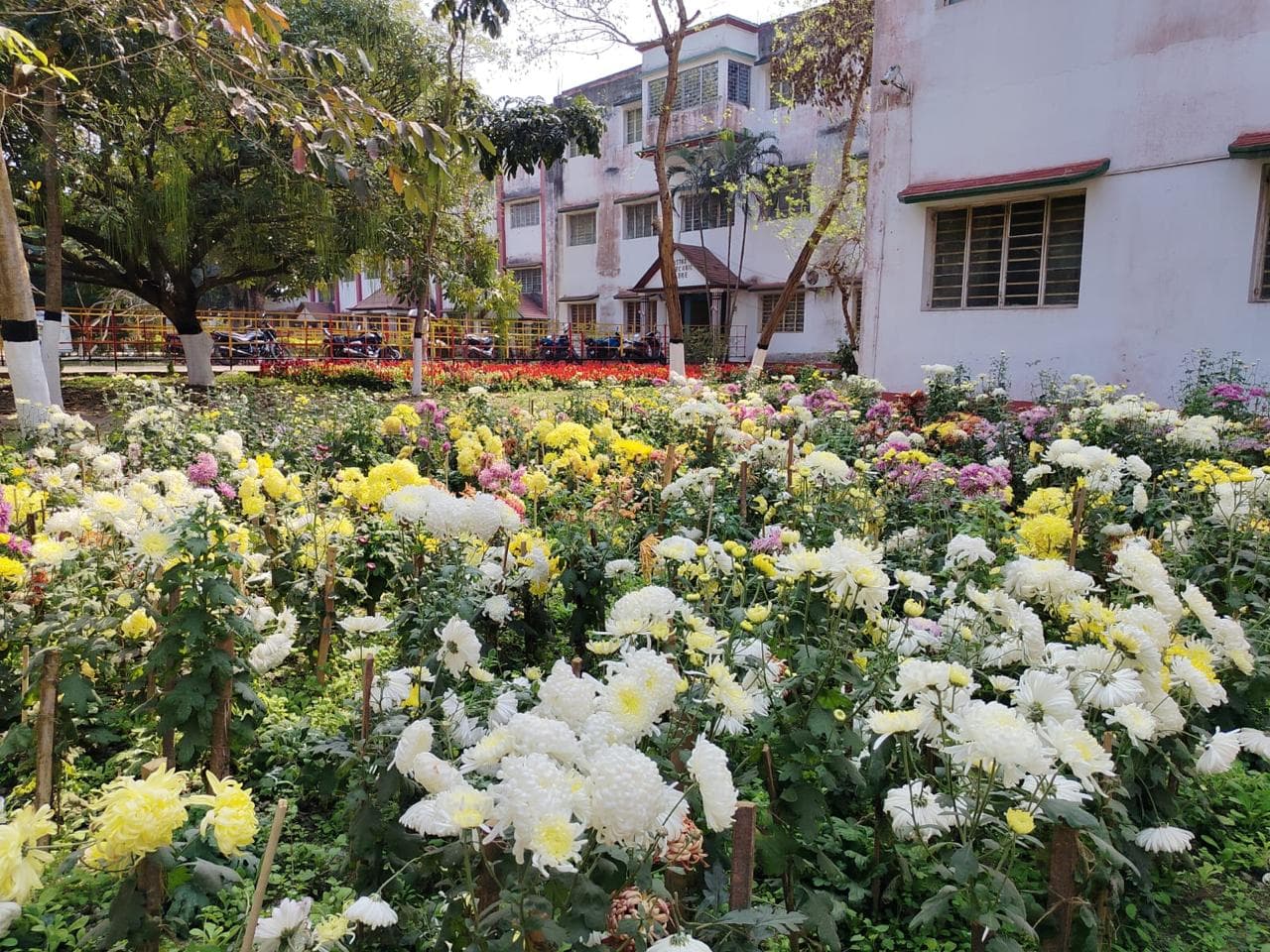 Kingston Law College Kolkata Campus photo (14) by Aritra Das