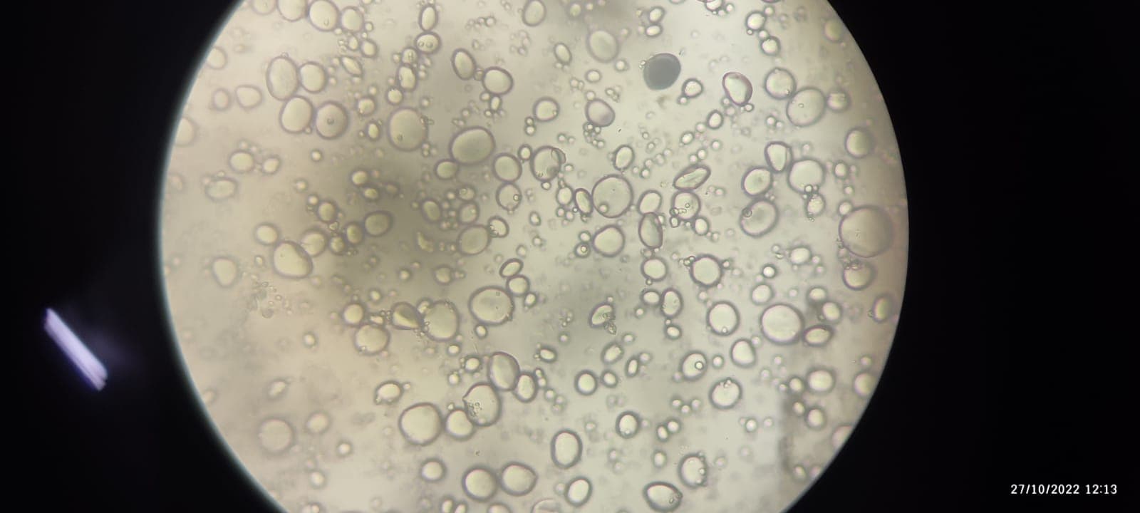 OUAT Facilities & Labs photo 5