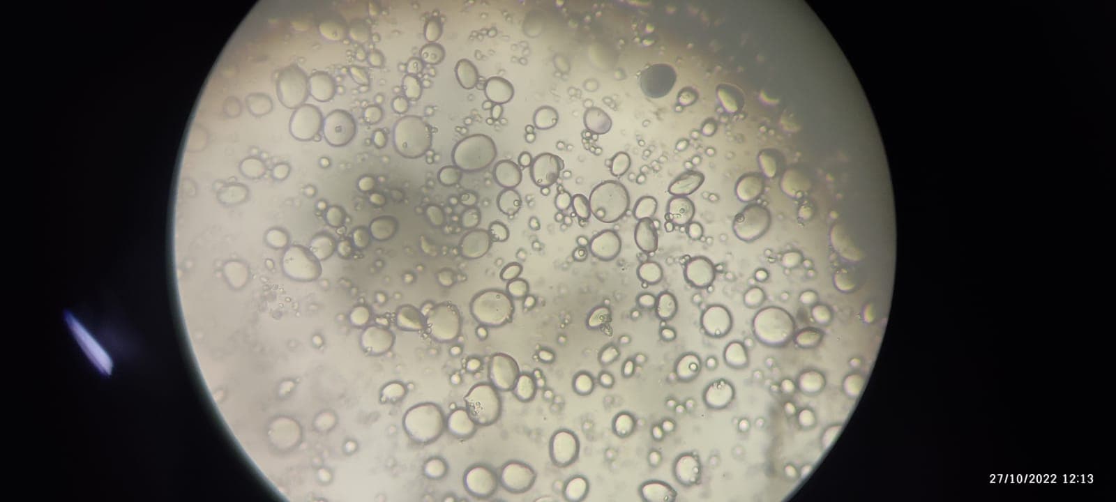 OUAT Facilities & Labs photo 7