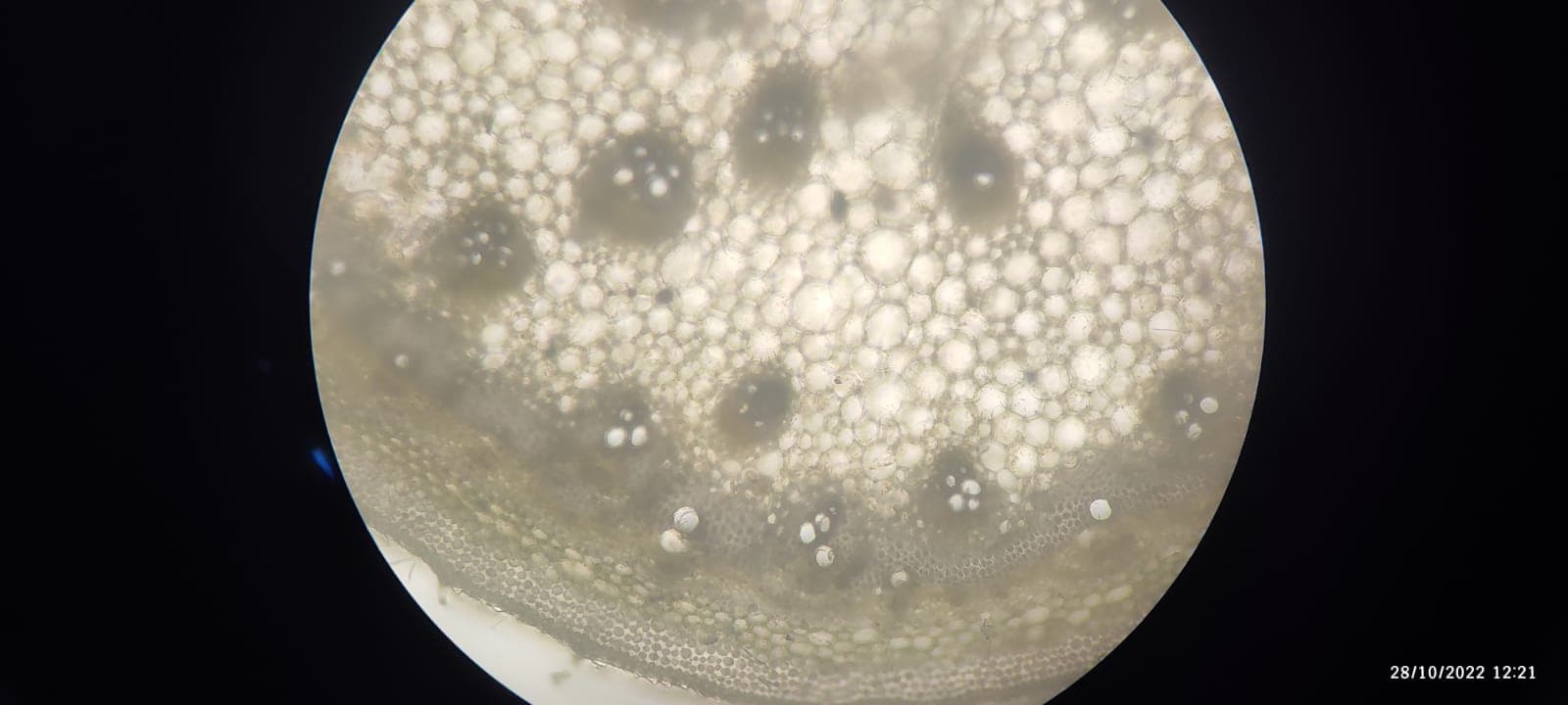 OUAT Facilities & Labs photo 4