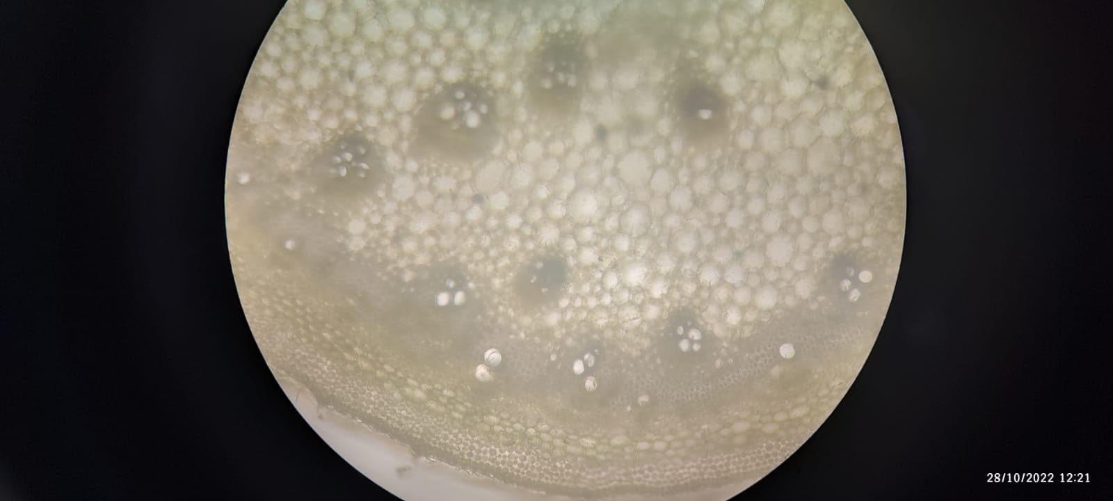 OUAT Facilities & Labs photo (8) by Bishnu Priya Samal