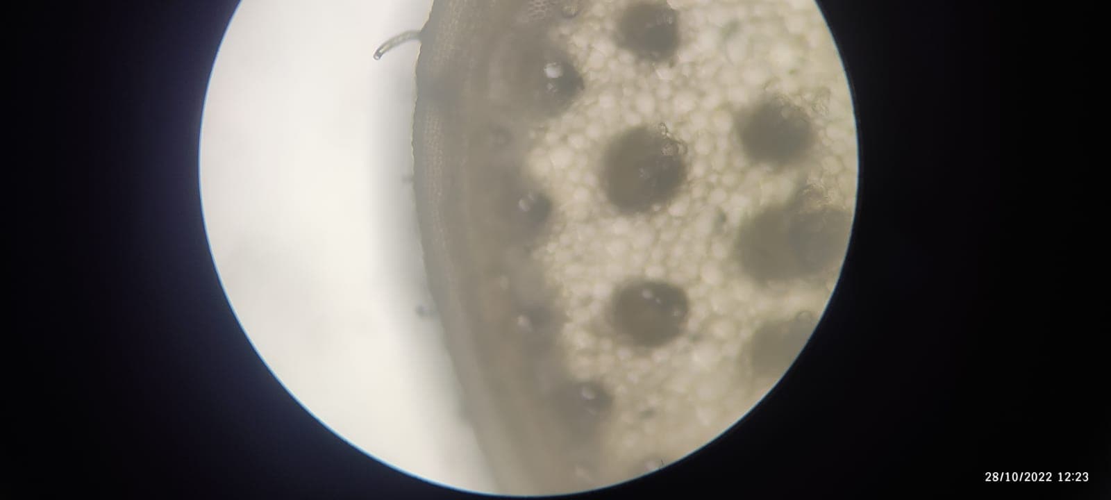 OUAT Facilities & Labs photo 3