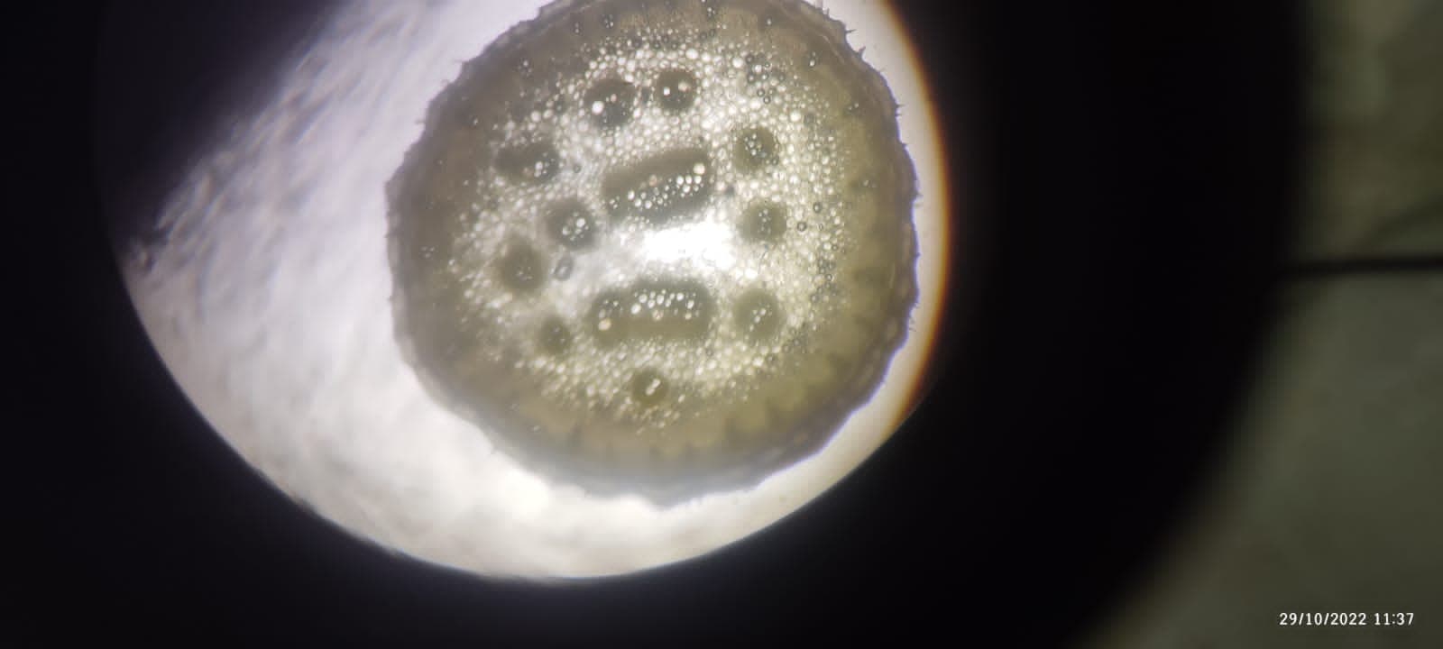 OUAT Facilities & Labs photo 1