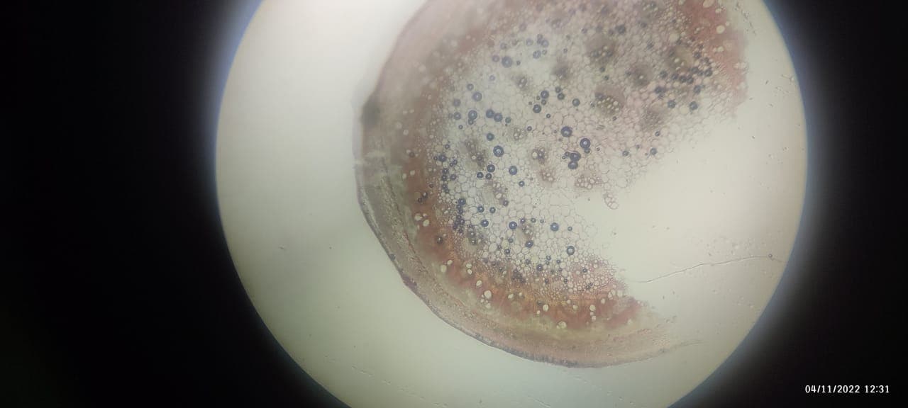 OUAT Facilities & Labs photo (9) by Bishnu Priya Samal