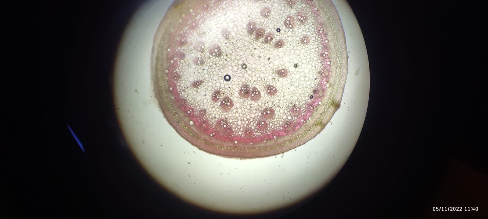 OUAT Facilities & Labs photo (10) by Bishnu Priya Samal