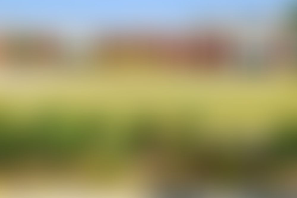 PP Savani University Campus photo (4) by Abhishek Khator