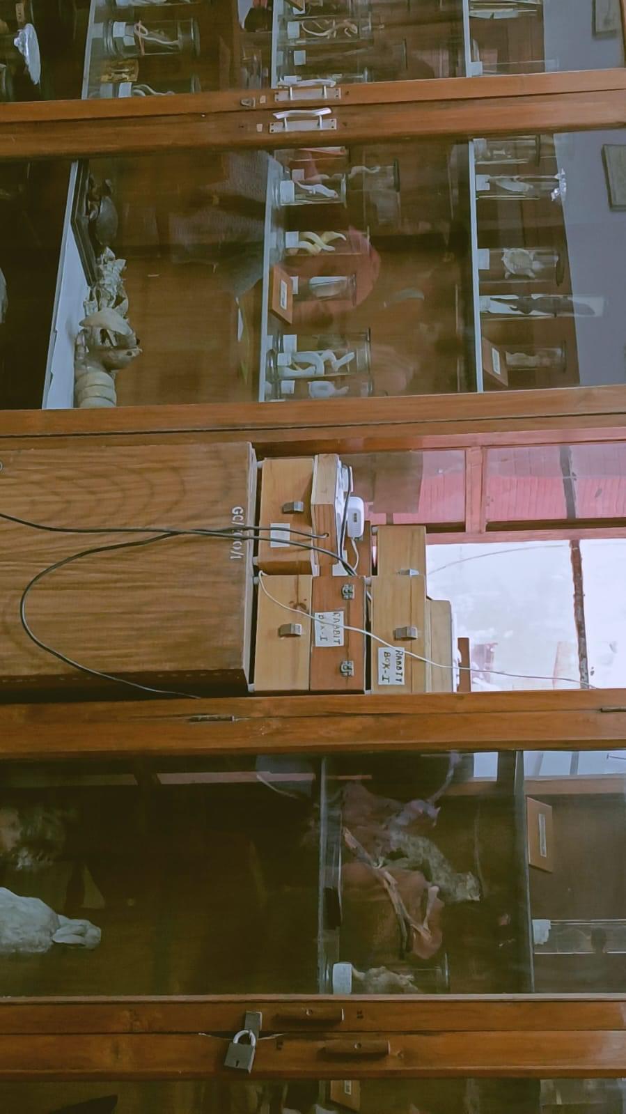 Miranda House Campus photo 7