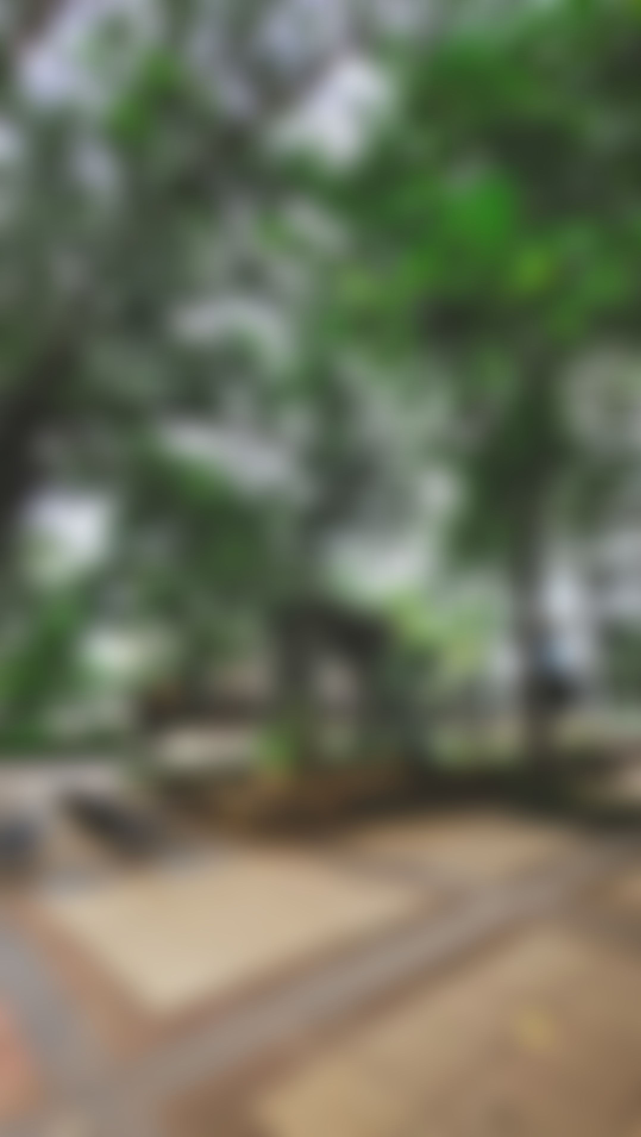 COEP Technological University Campus photo (13) by Aayoush Jaggade