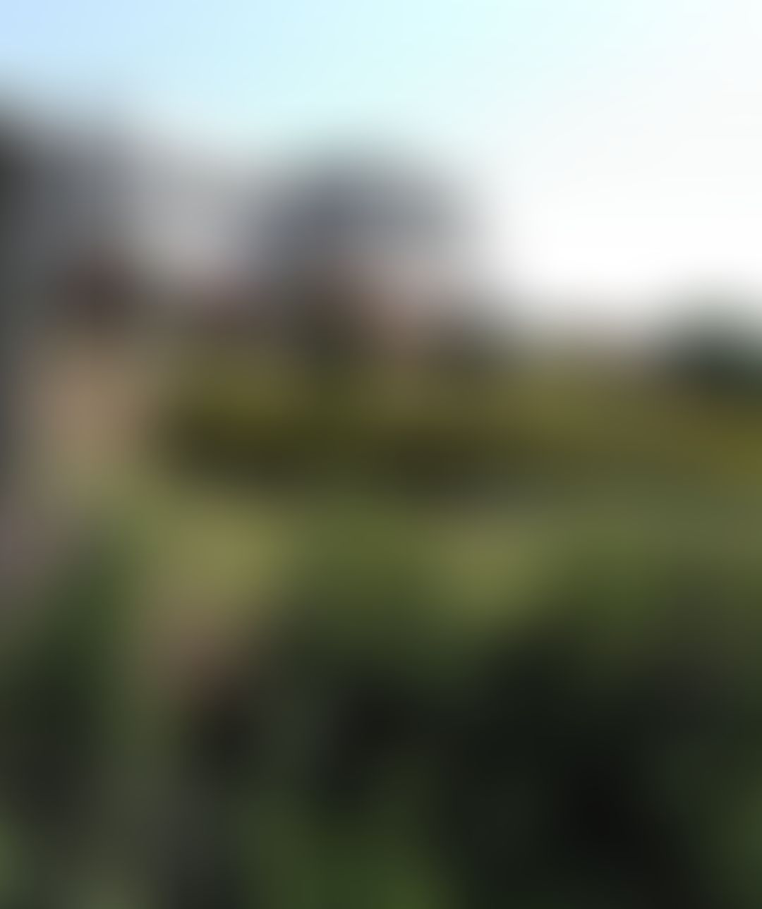 PDKV Campus photo (5) by Sanket Kaldate