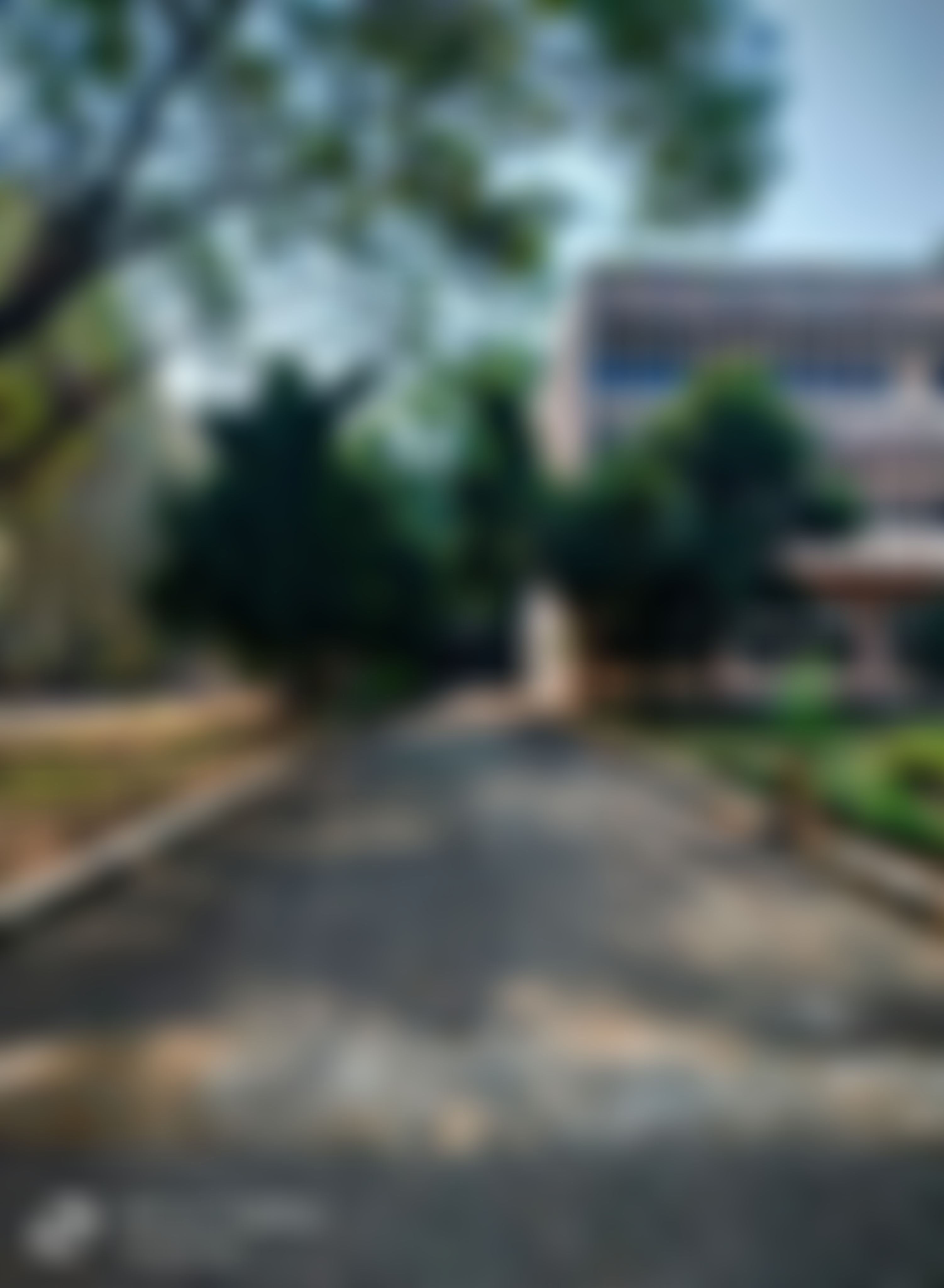 NIT Silchar Campus photo (12) by Ayanangshu Sarkar