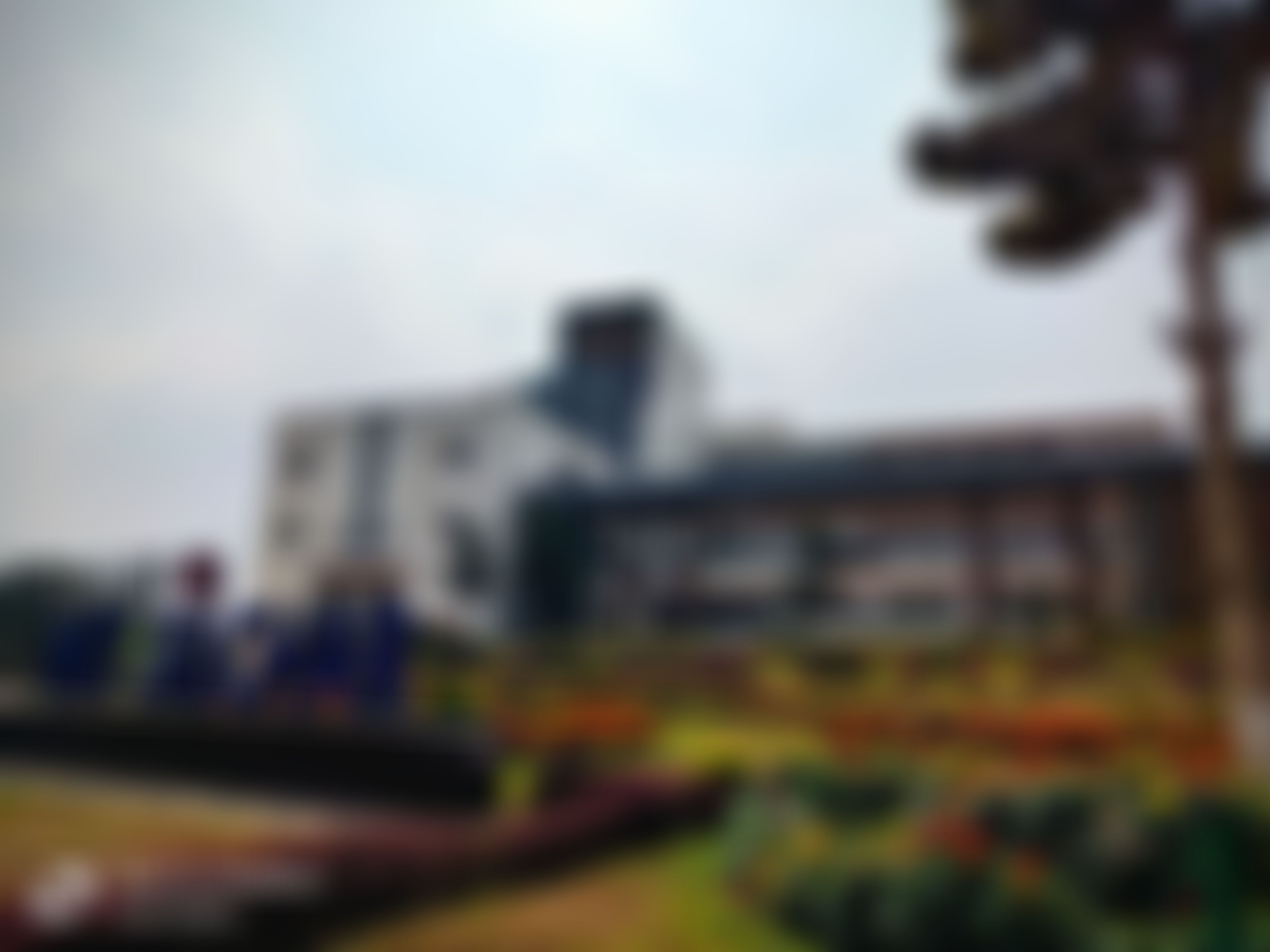 NIT Silchar Campus photo (10) by Ayanangshu Sarkar