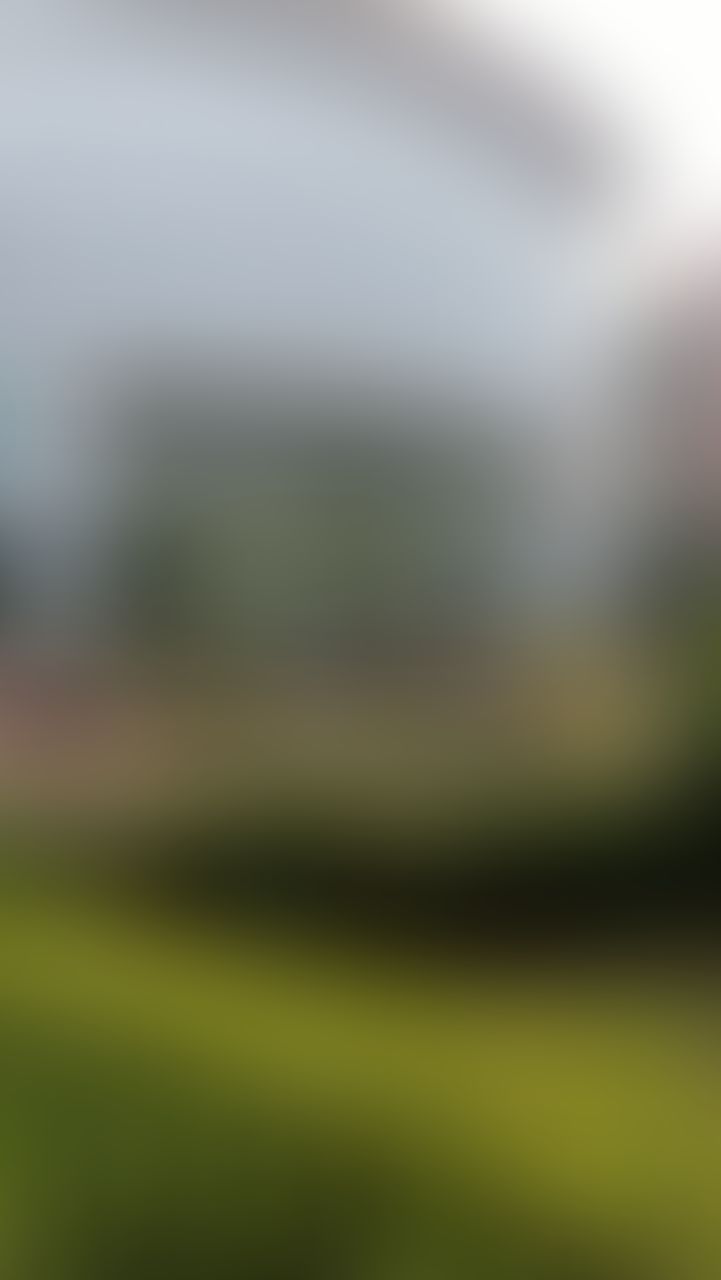 Delhi Technical Campus Greater Noida Infrastructure & Academic Building photo (2) by Zoya Iliyas