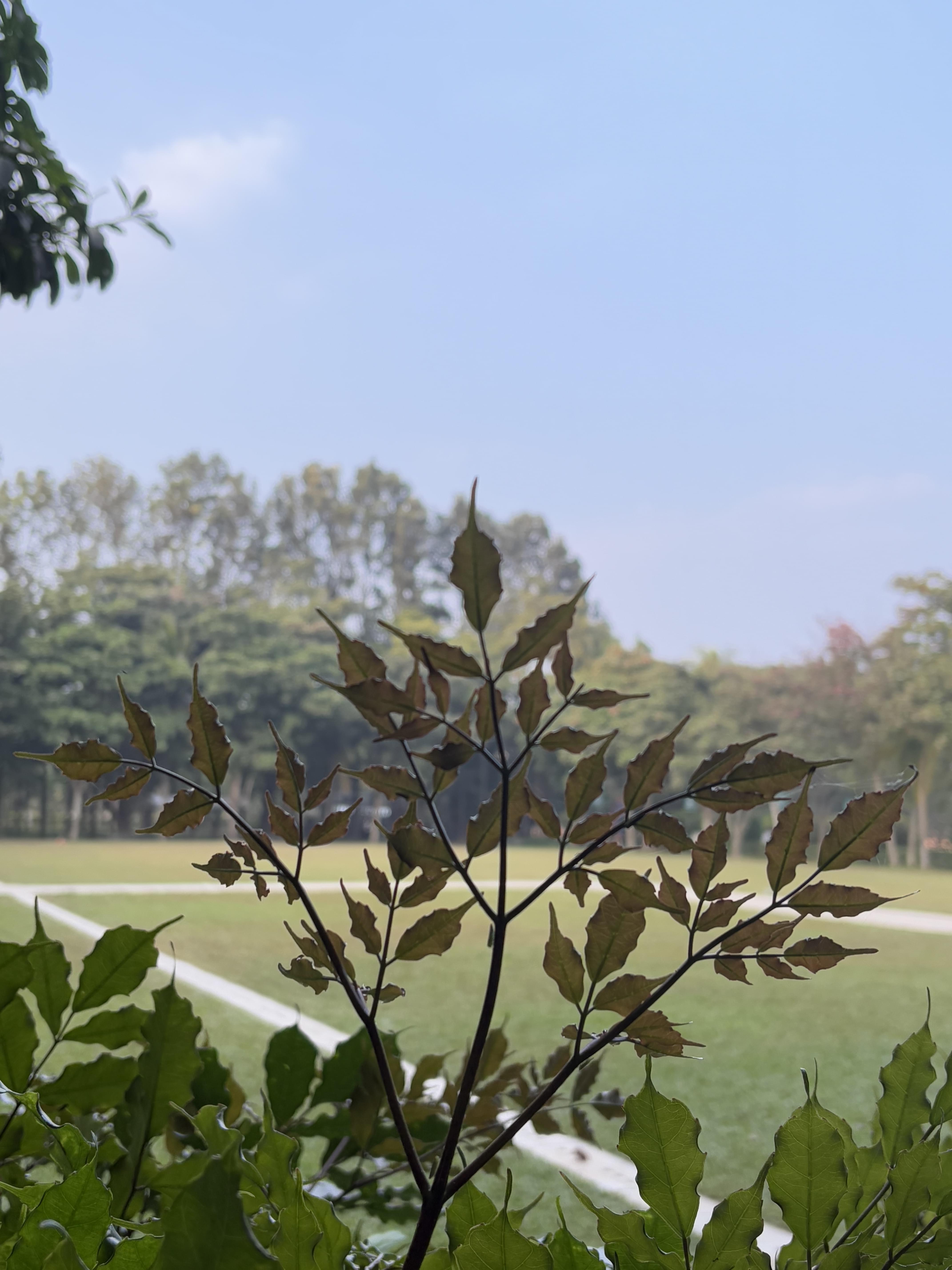 REVA University Bangalore Campus photo 5