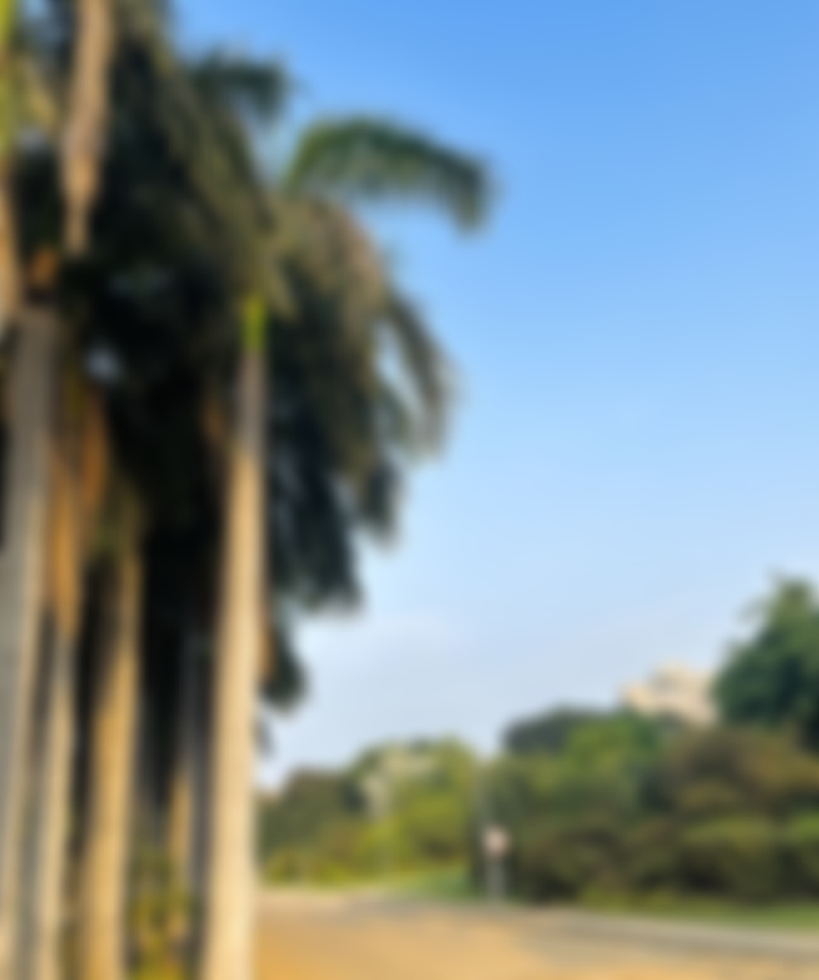 Nirma University Ahmedabad Campus photo (18) by Yasha Bardiya