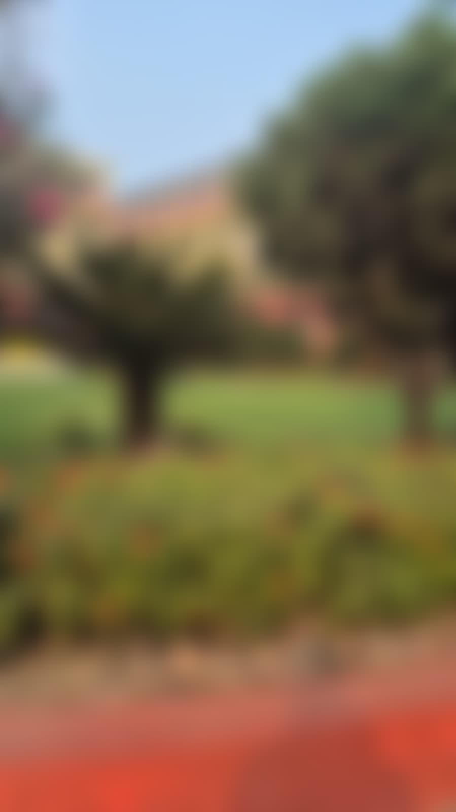 NSEC Campus photo (15) by Rupkatha Sharma