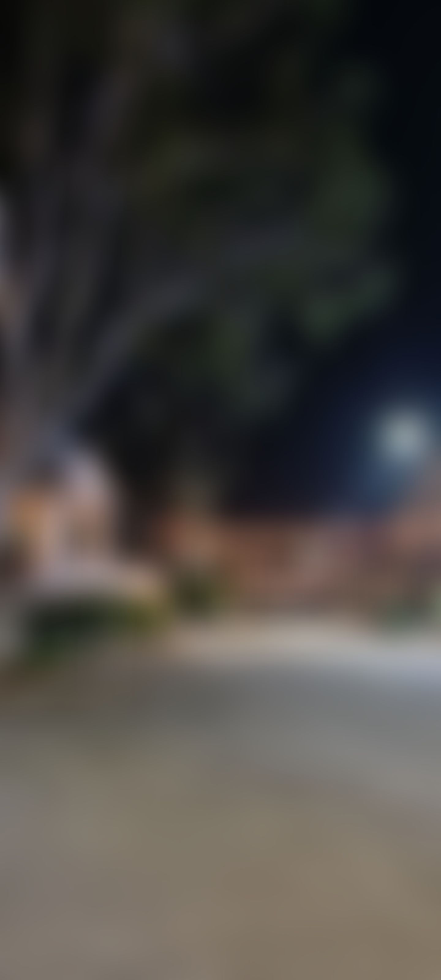 Jain University Bangalore Campus photo (2) by NIVE