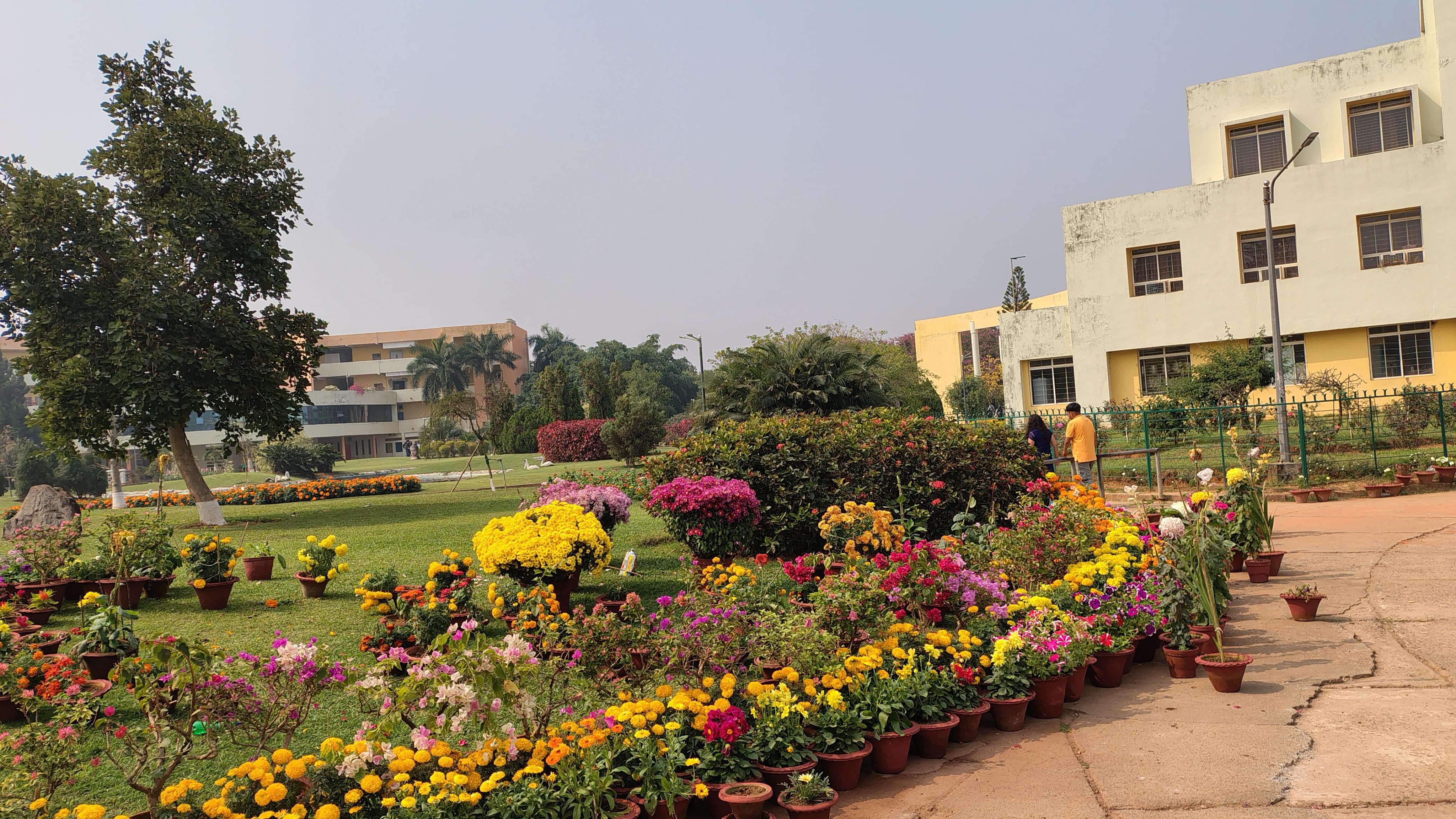 Cv Raman Engineering College Bhubaneswar Orissa CV Raman Bhubaneswar Admission 2025: Dates, Fees, Eligibility