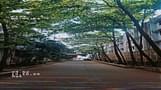 Campus Photo submitted by Siddhesh Rajiv Kharche