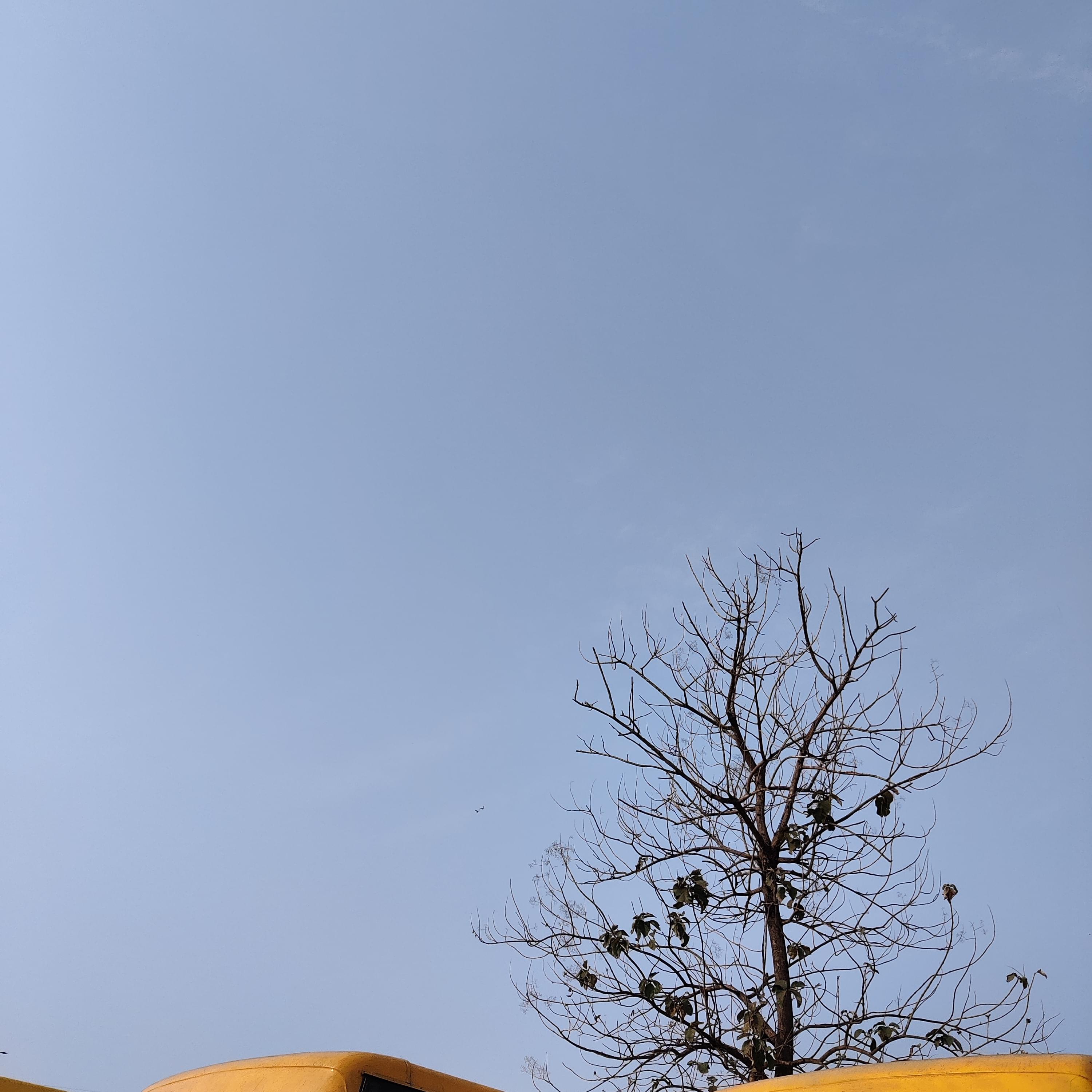 Pragati Engineering College East Godavari Campus photo (4) by Chaitanya Jyothika Boganaduni