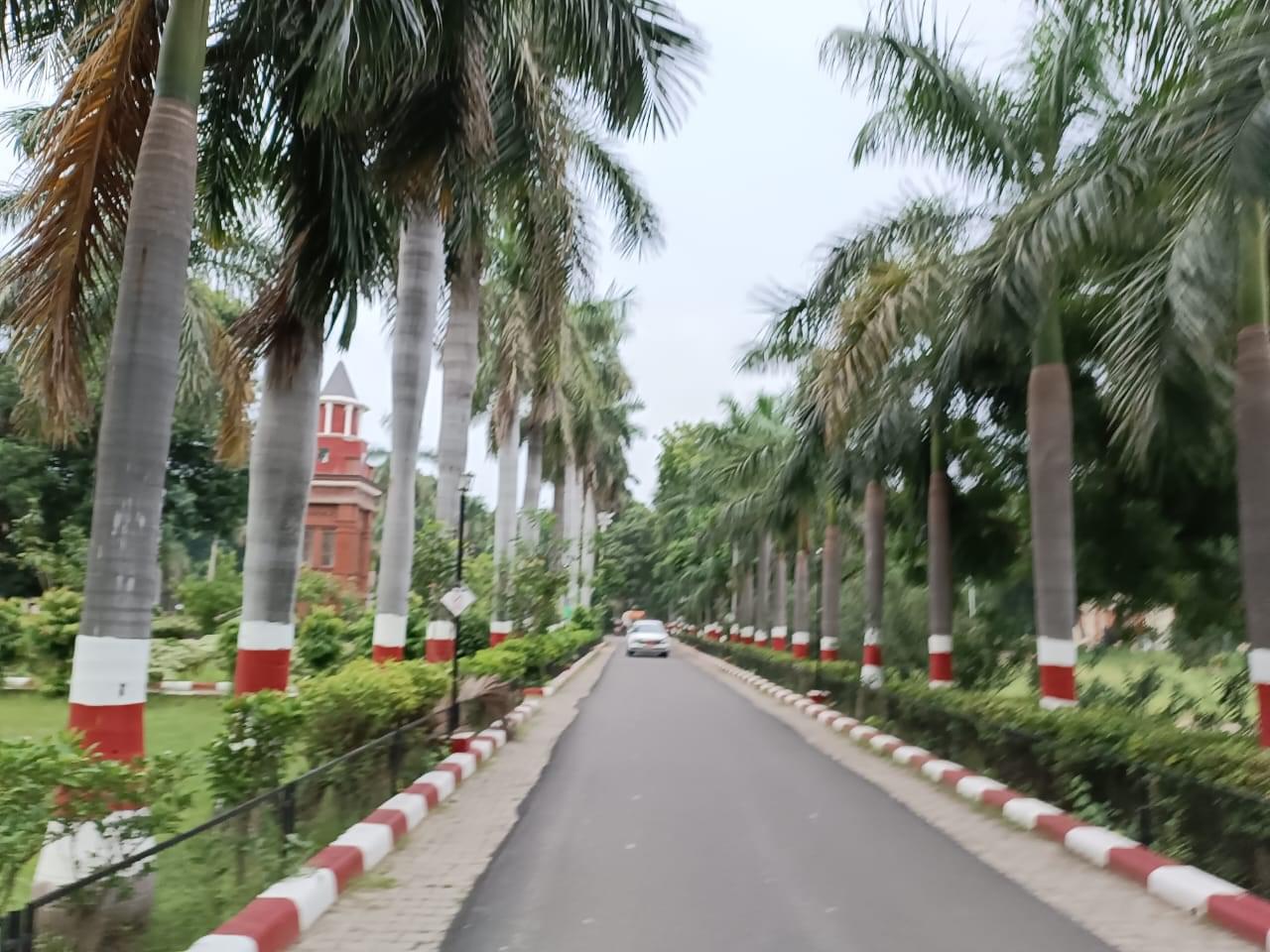 HBTU Campus photo (11) by Abhishek Kesarwani