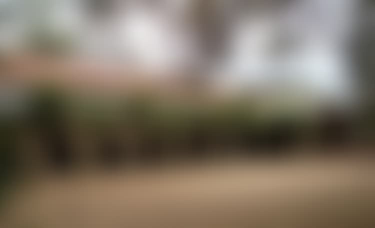 University of Mysore Campus photo (3) by Arjun K