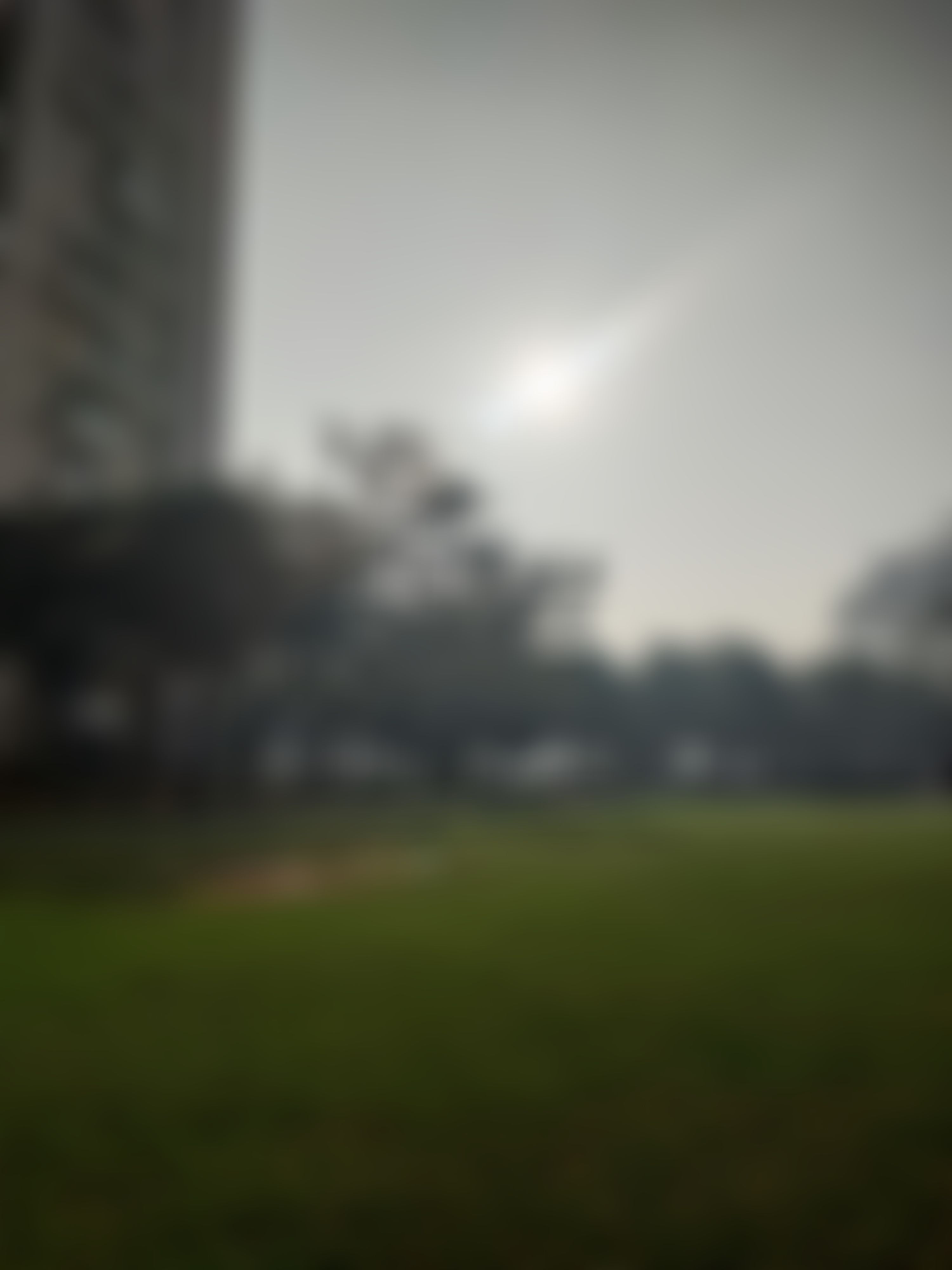 Bharati College Campus photo (2) by Rakhi Kumari Mahato