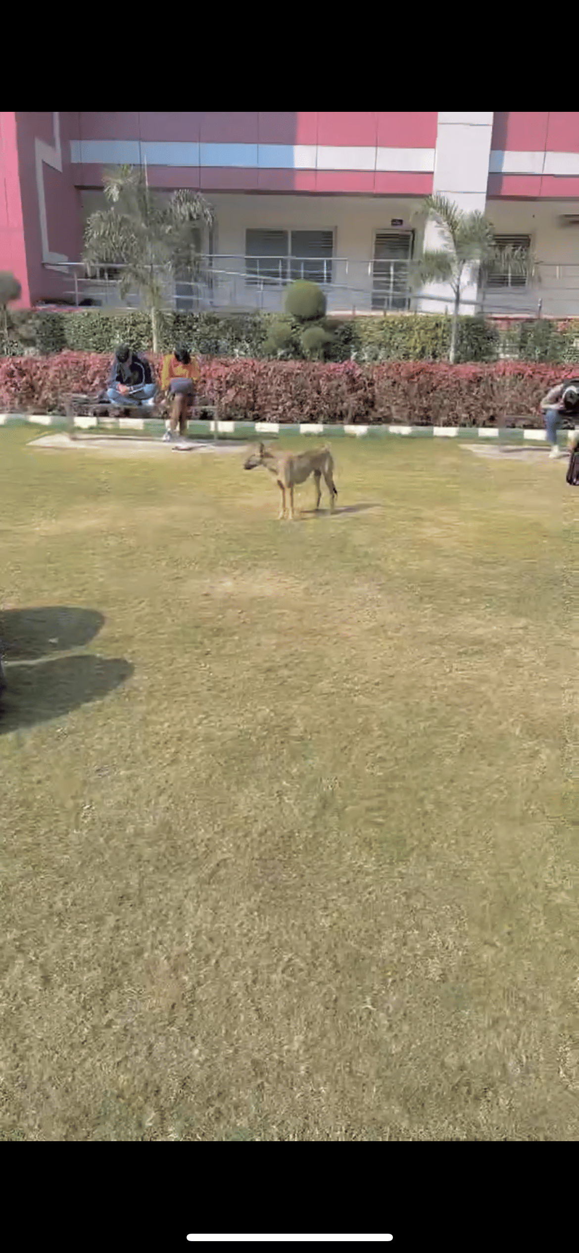 IB Post Graduate College Panipat Campus photo (1) by Shubham Kadyan