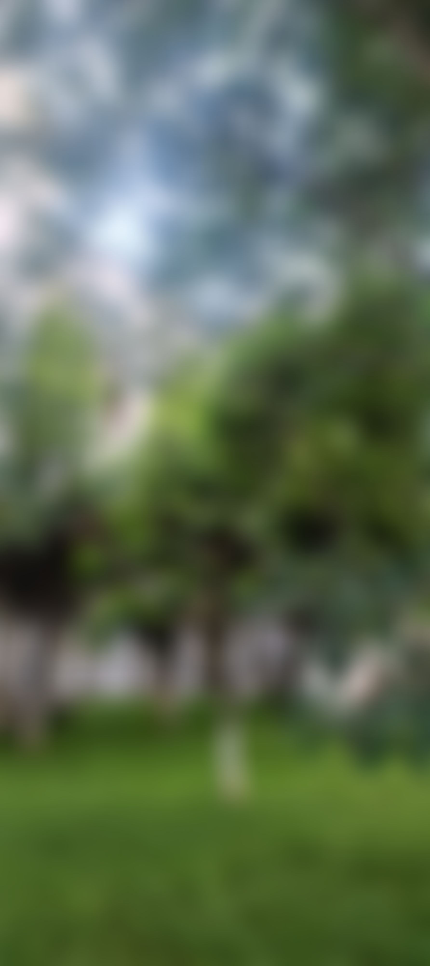 Alliance University Bangalore Campus photo (8) by Chennareddy Naveen Kumar