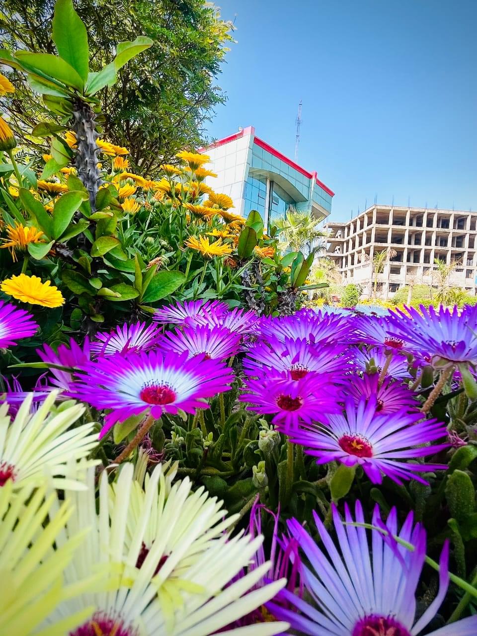 SVIET Chandigarh Campus photo (13) by abul faiyaz