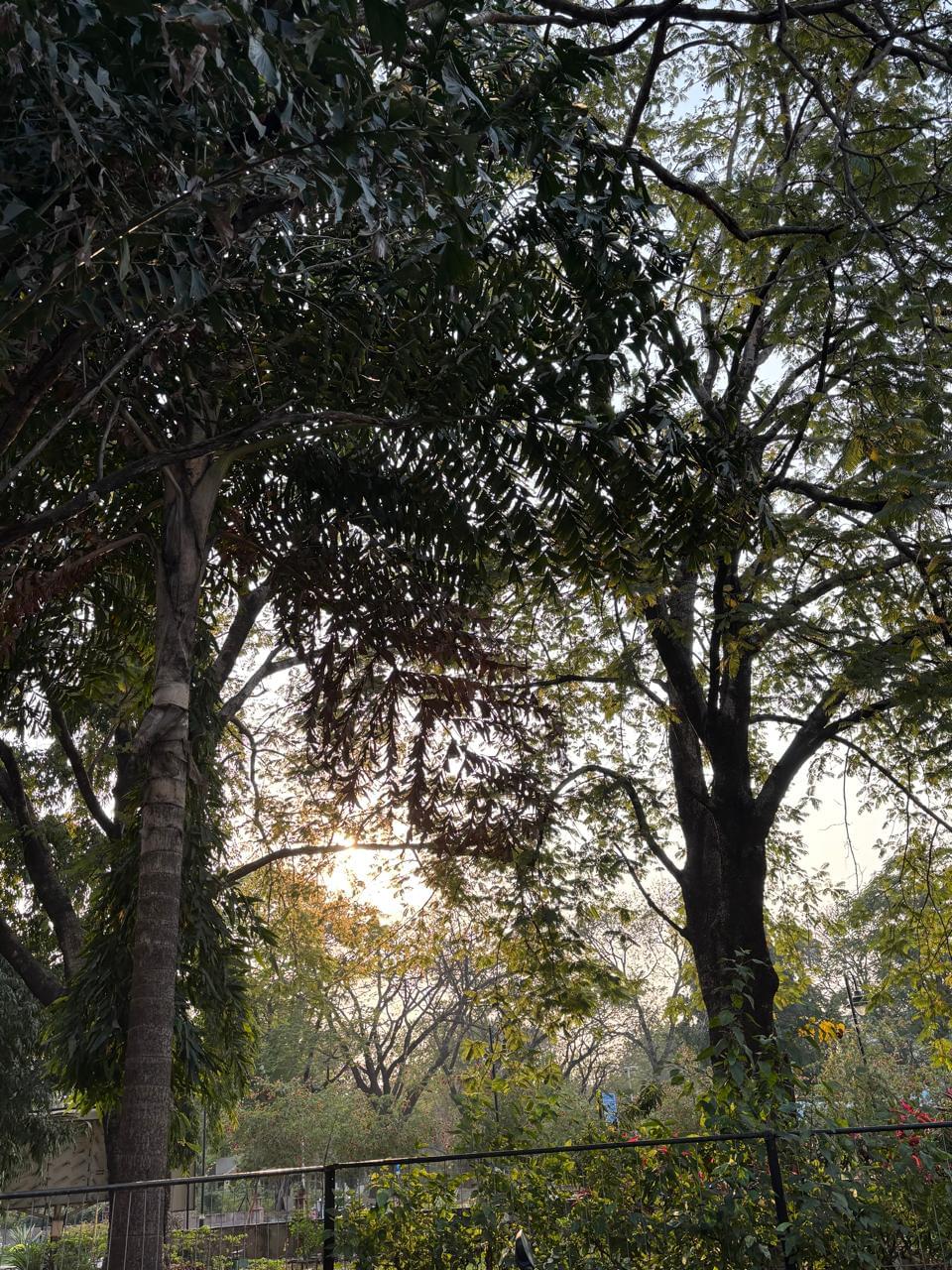 VNIT Nagpur Extra-Curricular photo (13) by shreya shree