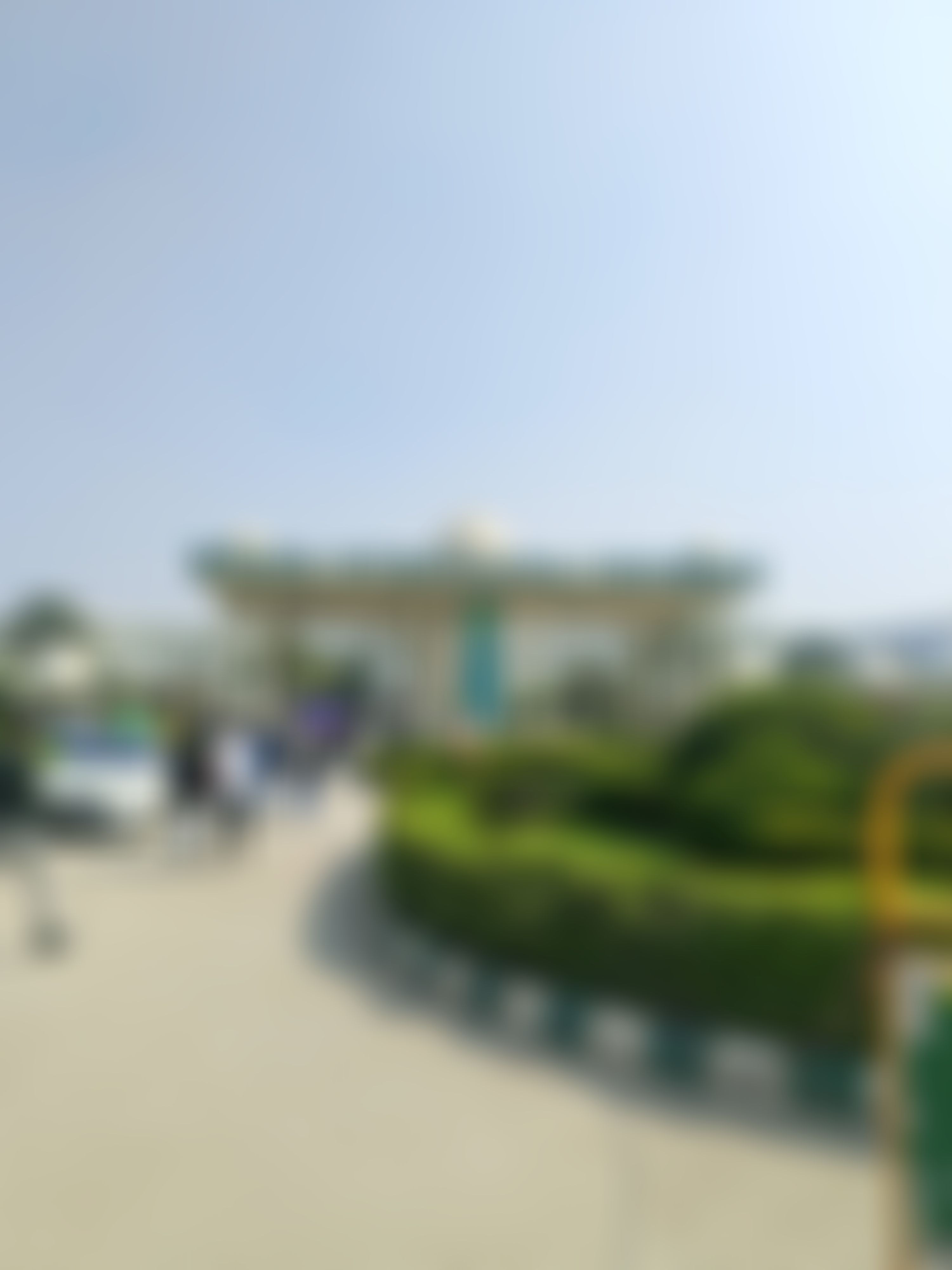 NIU Noida Campus photo (5) by Malcom Chapwanya