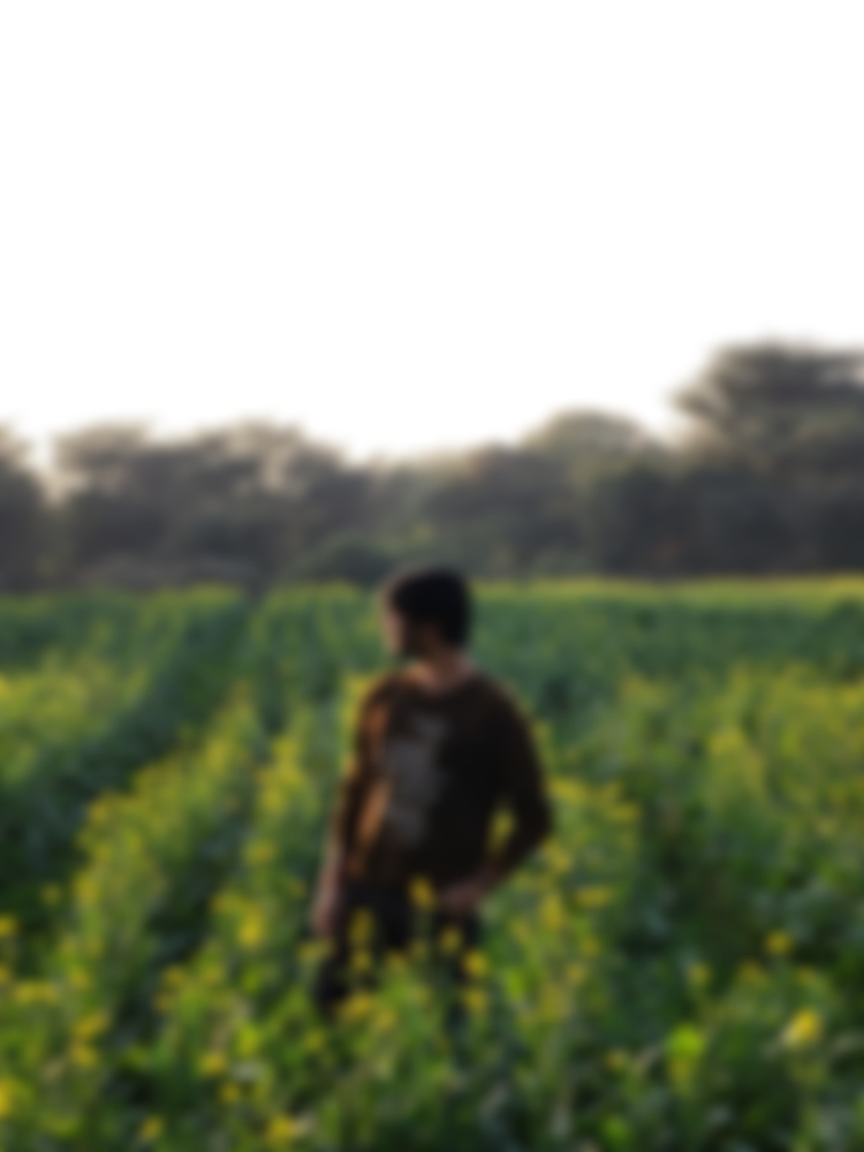 Amity University Gurgaon Campus photo (17) by Dev