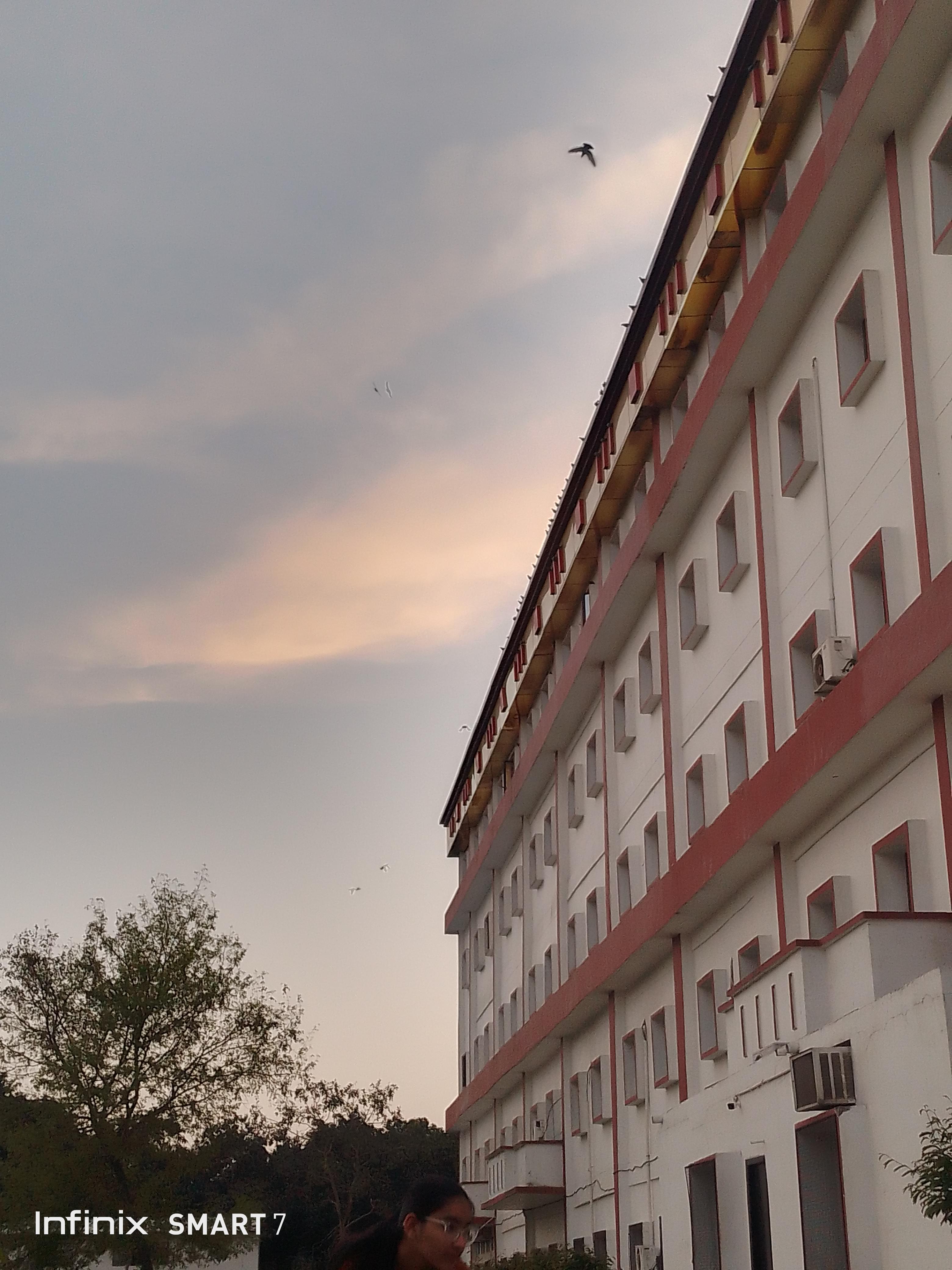 Haridwar University Campus photo (3) by Prakriti