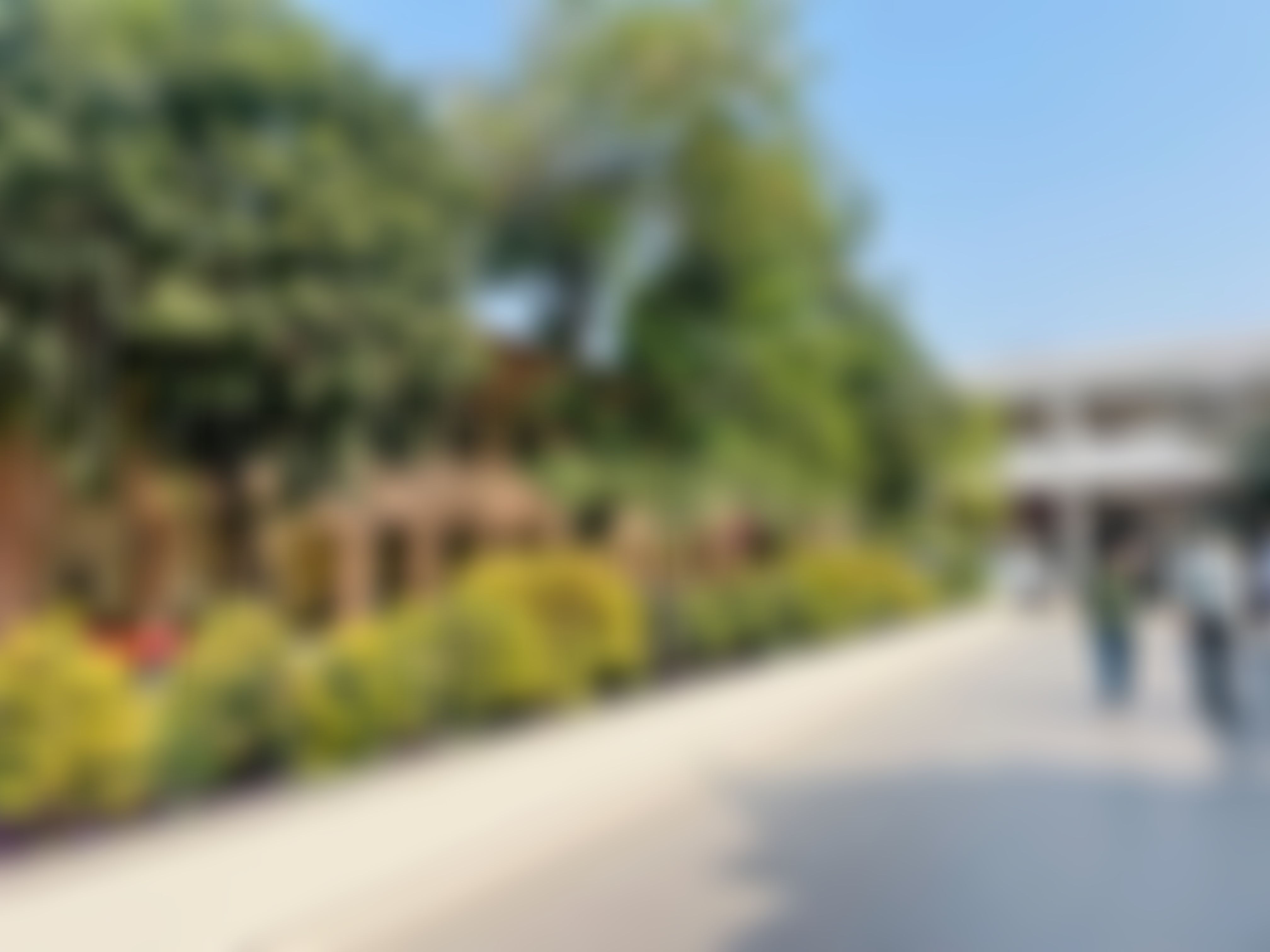 JNVU Extra-Curricular photo (16) by Mradansh