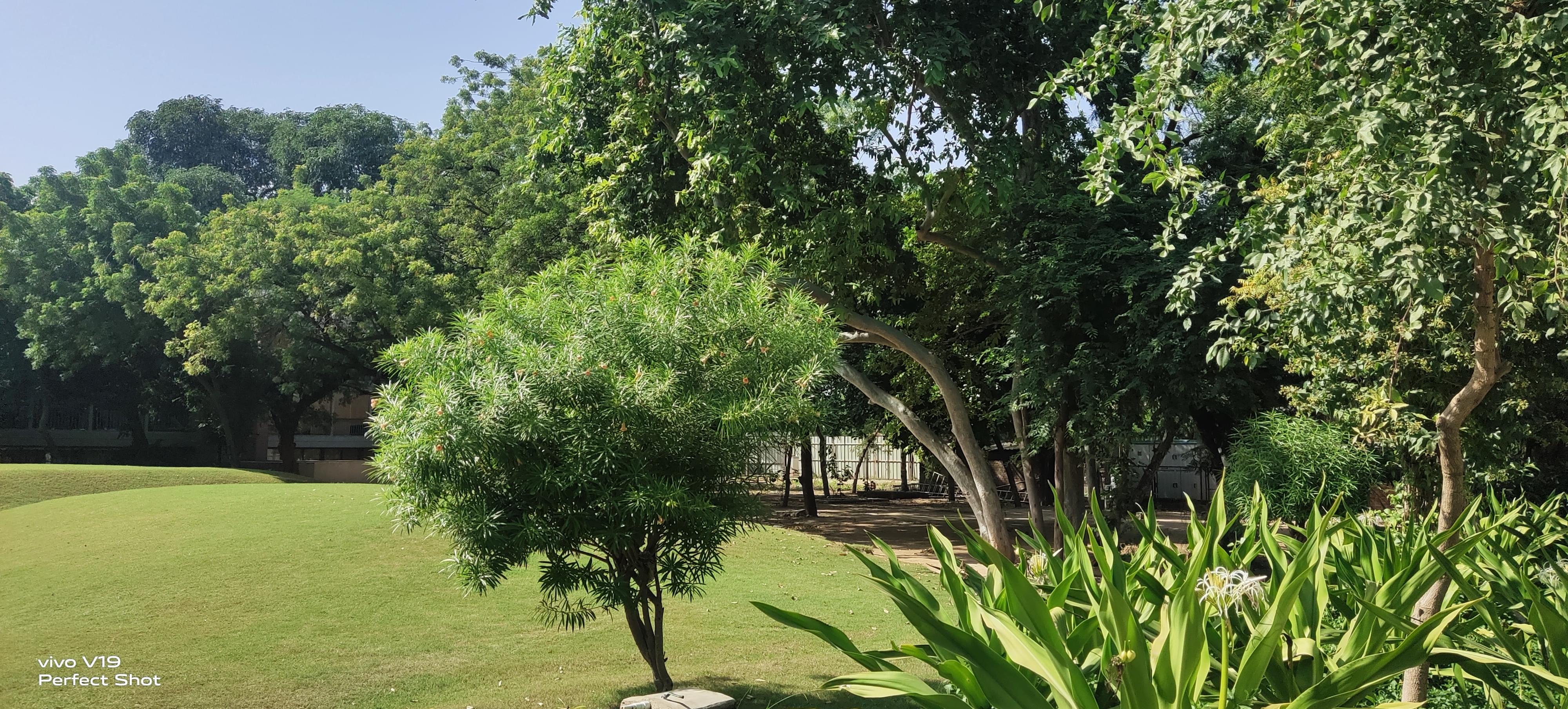 D Y Patil College of Architecture Kolhapur Campus photo (8) by Shahid imran mujawar