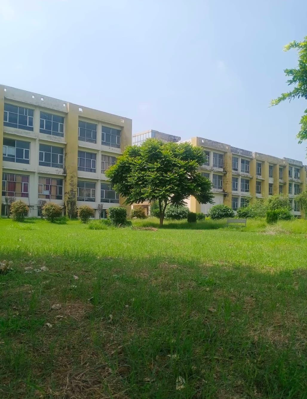 Rayat Bahra Patiala Campus Campus photo (2) by Rohit nishad