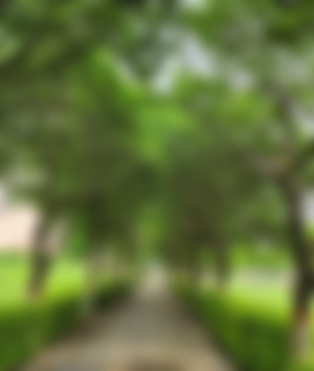 GD Goenka University Gurgaon General photo (5) by Himanshu