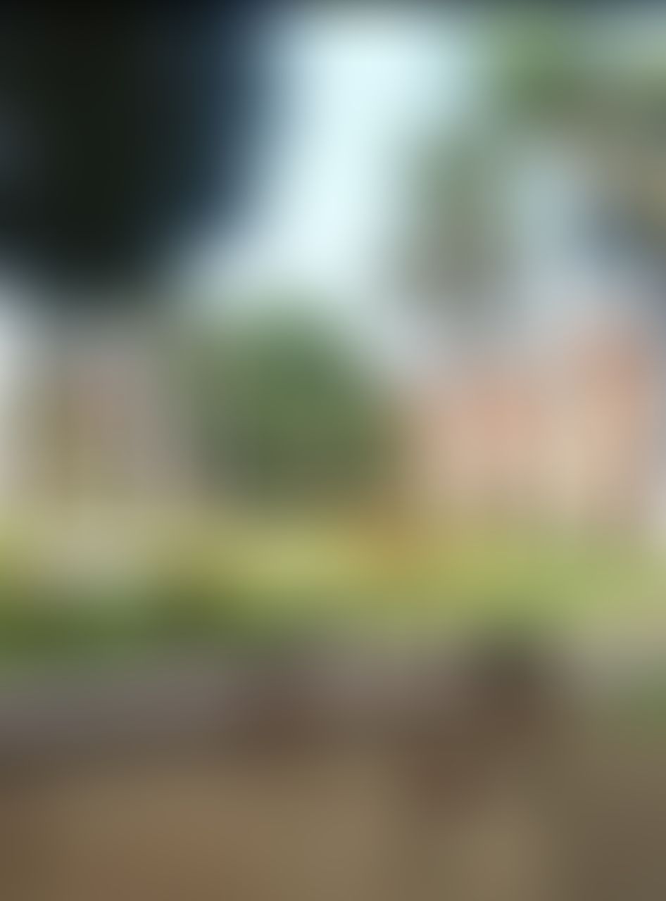 Somaiya Vidyavihar University Mumbai Campus photo (4) by Vivek Davera