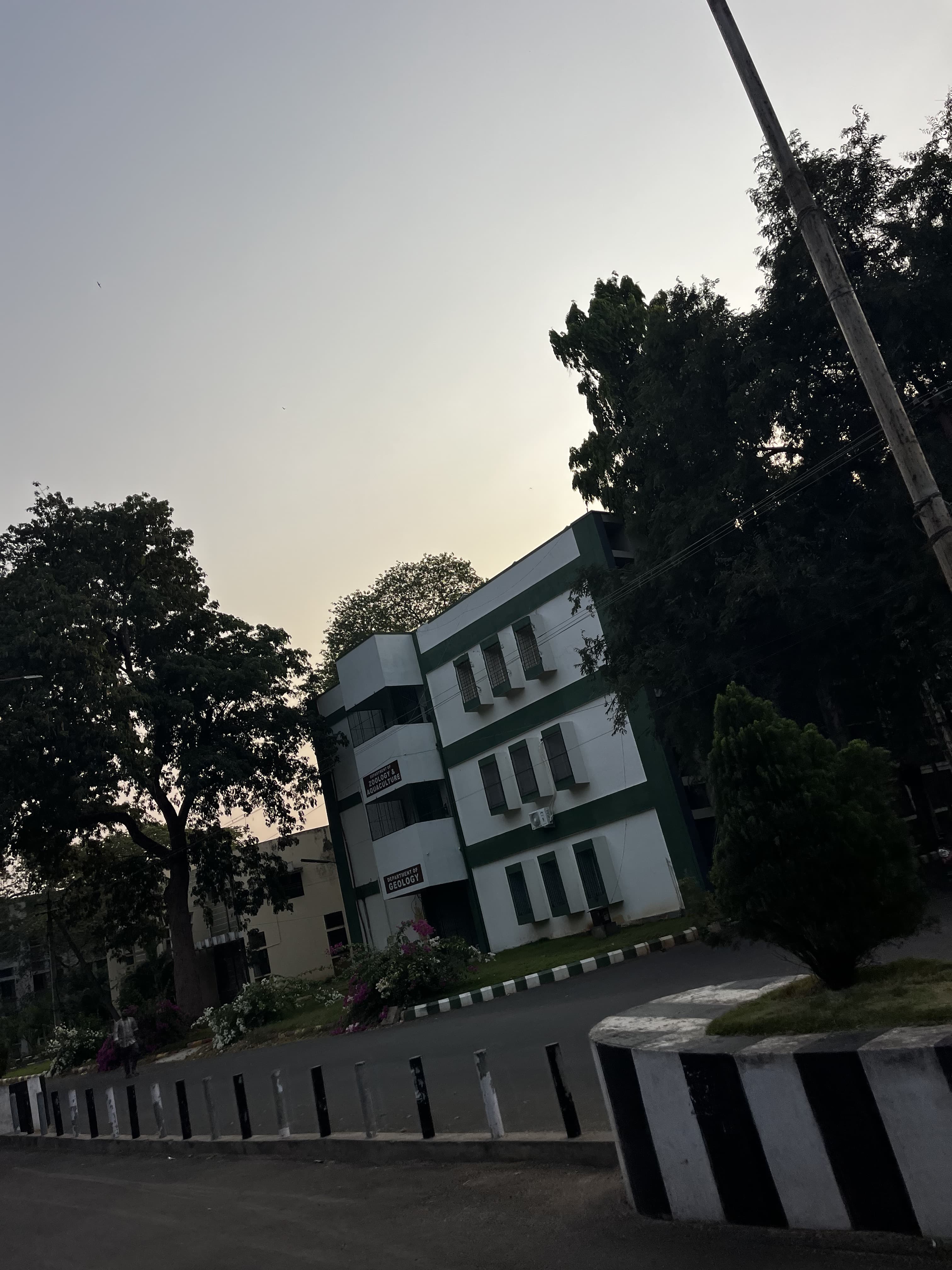 Acharya Nagarjuna University Guntur Campus photo 6