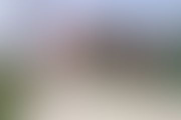 IIMT College of Engineering Greater Noida Campus photo (9) by Keshav Sharma
