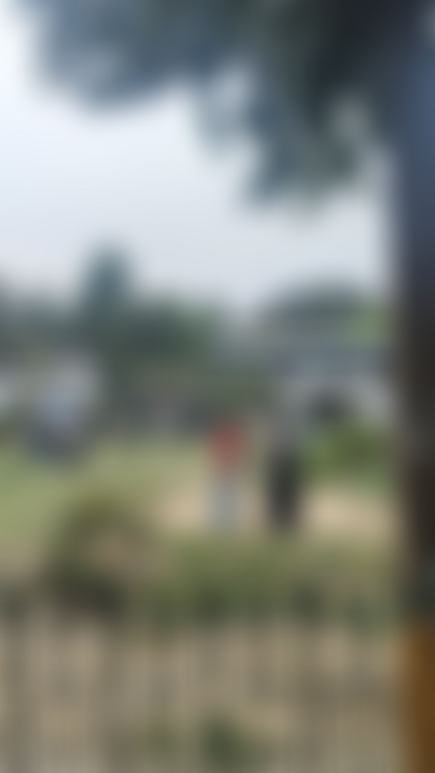 Motilal Nehru College Campus photo (19) by Priyanshi Tandon