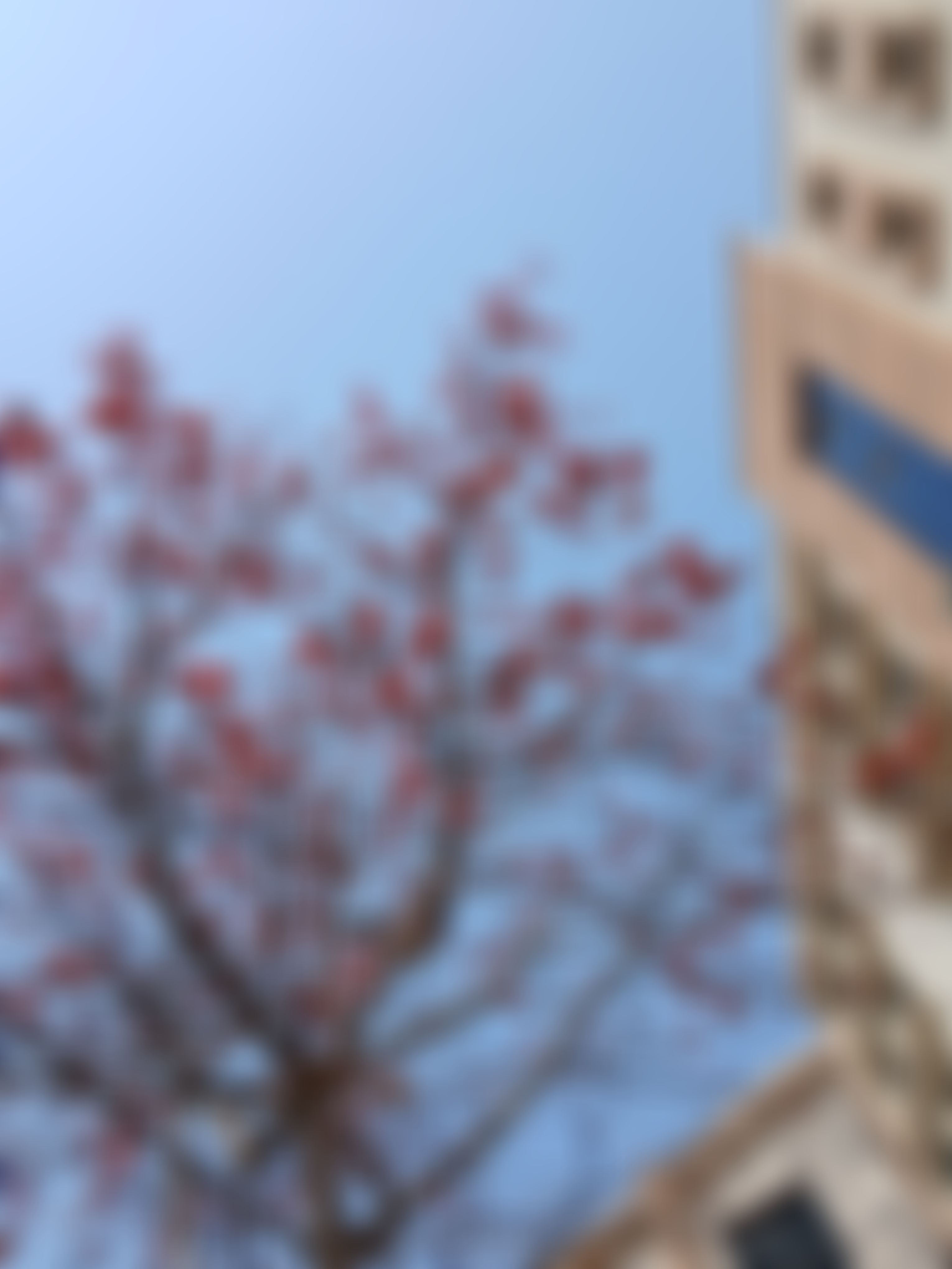 KIET University Infrastructure & Academic Building photo (8) by Divyanshi Jaiswal