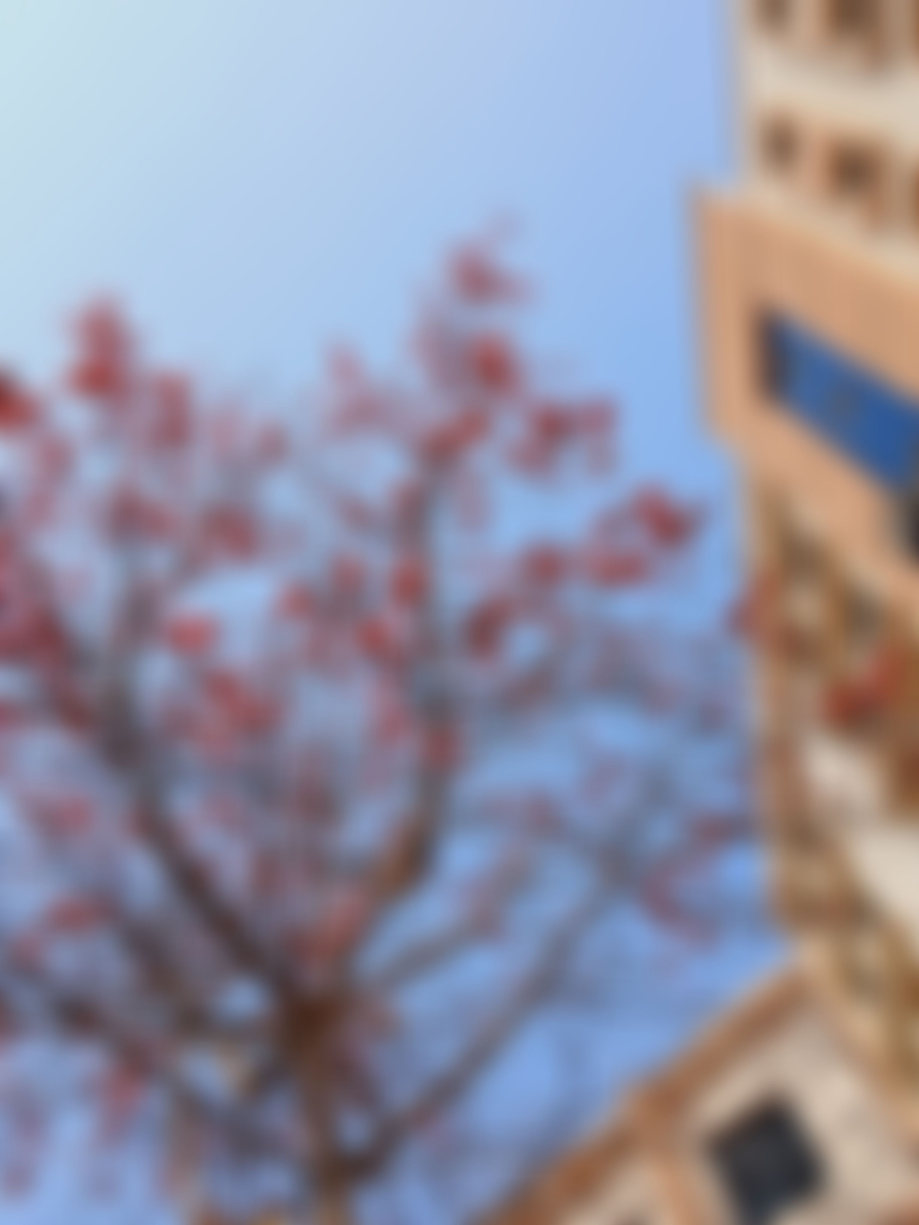 KIET University Campus photo (16) by Divyanshi Jaiswal