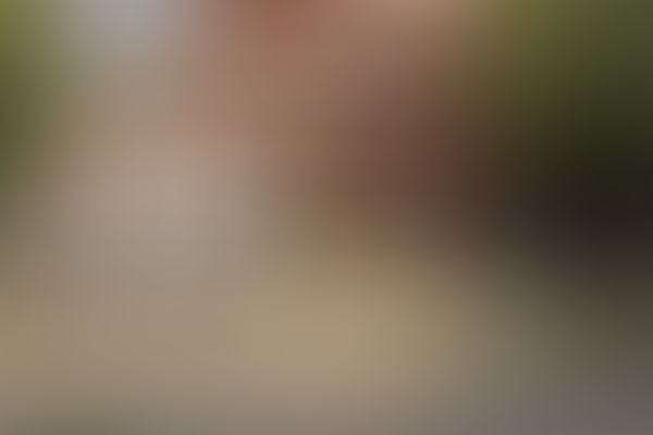 Lal Bahadur Shastri Institute of Management and Development Studies Lucknow Extra-Curricular photo (2) by Shruti Sharma