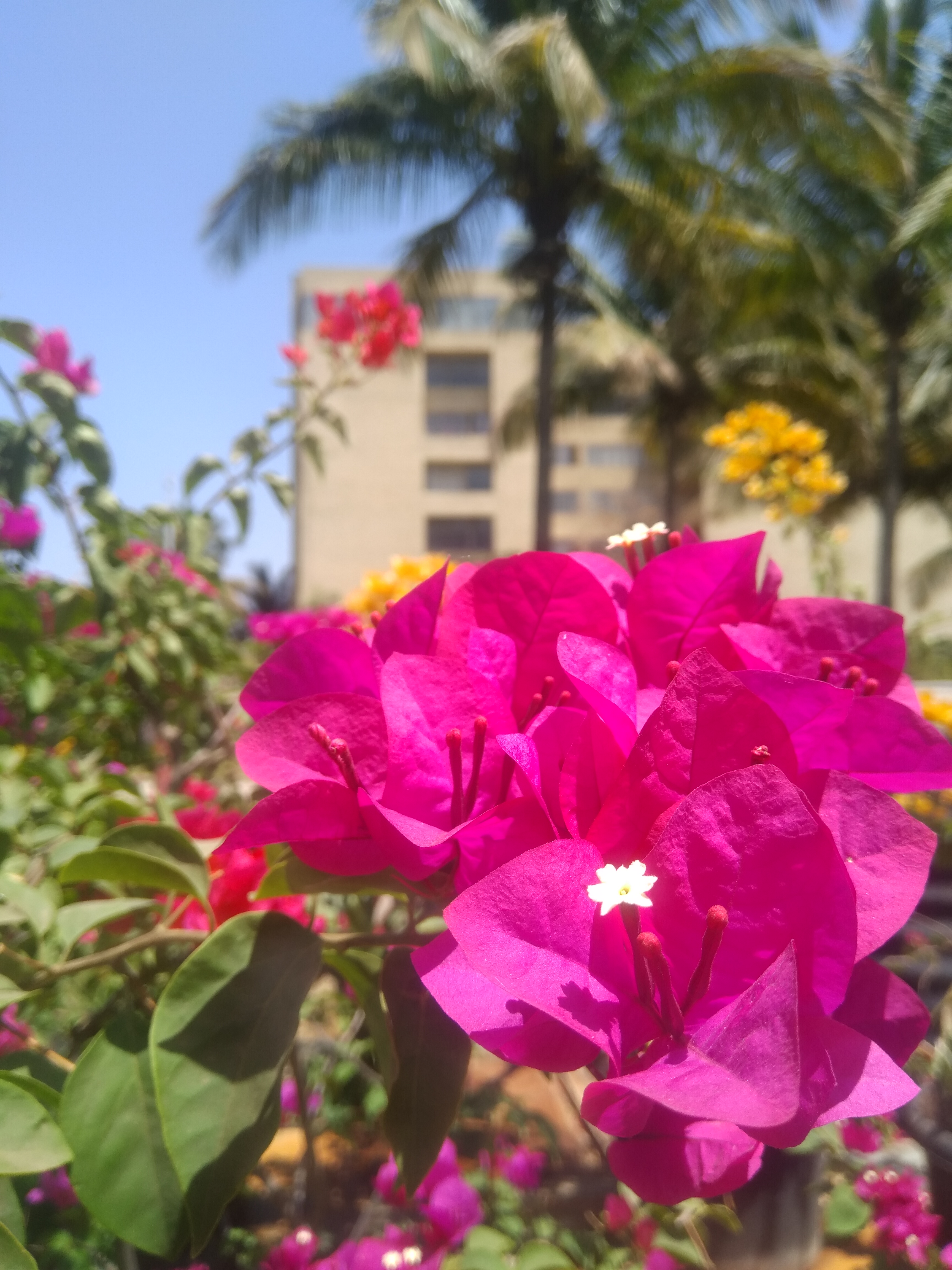 DY Patil School of Engineering & Technology Pune Campus photo (4) by Vishwajit Patil