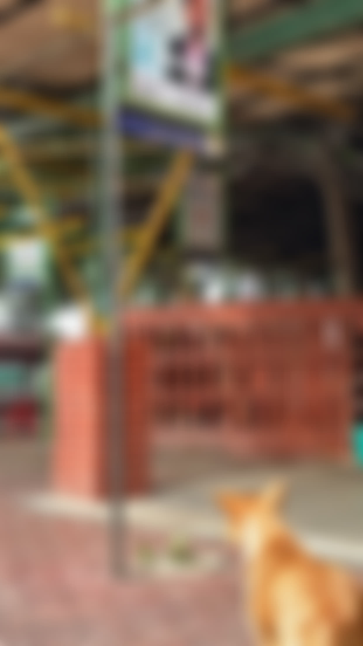 Kamala Nehru College Infrastructure & Academic Building photo (18) by Palak Rehal