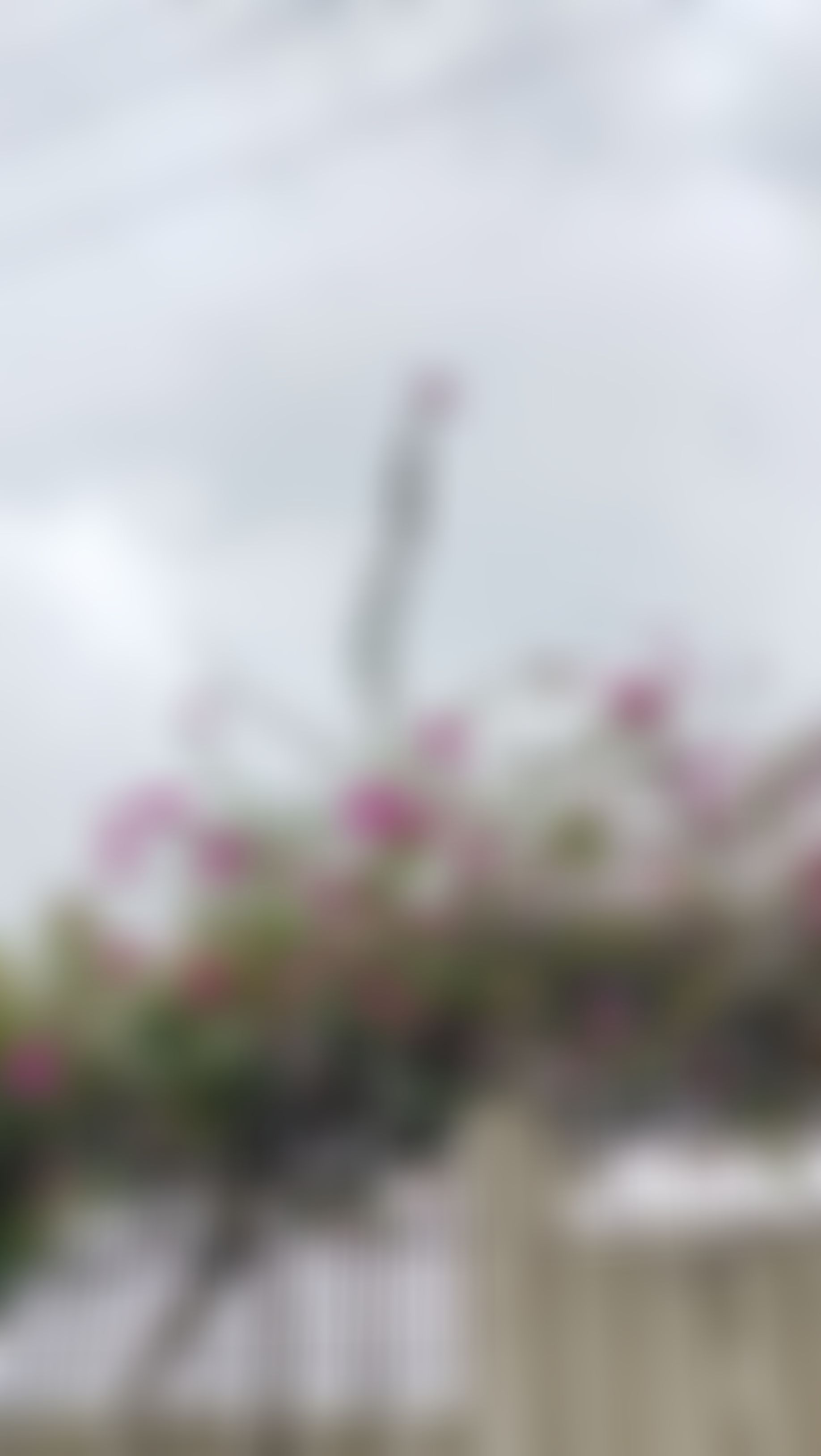 Allenhouse Business School Kanpur Campus photo (2) by Ankit Singh