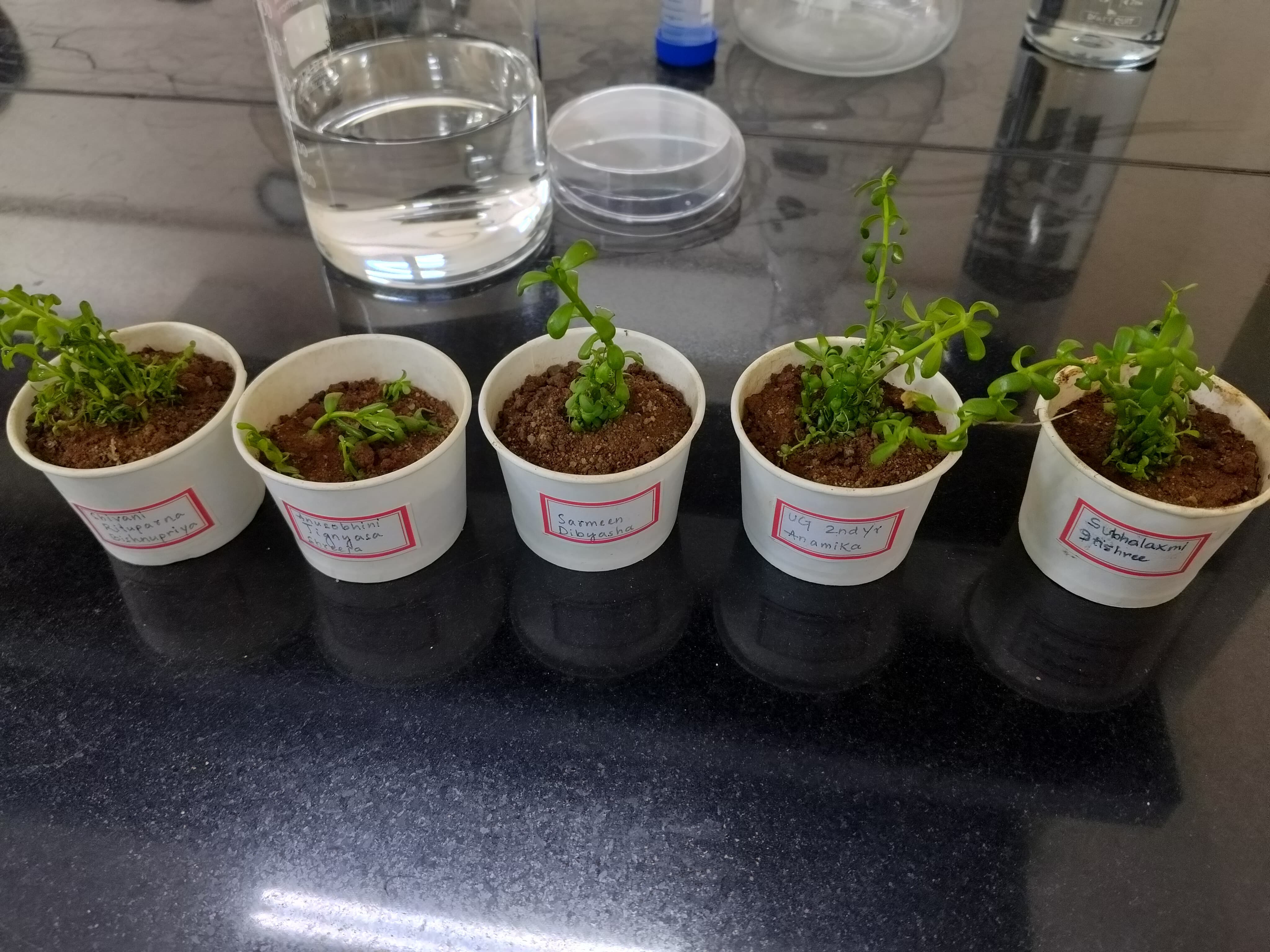 RDWU Facilities & Labs photo 4